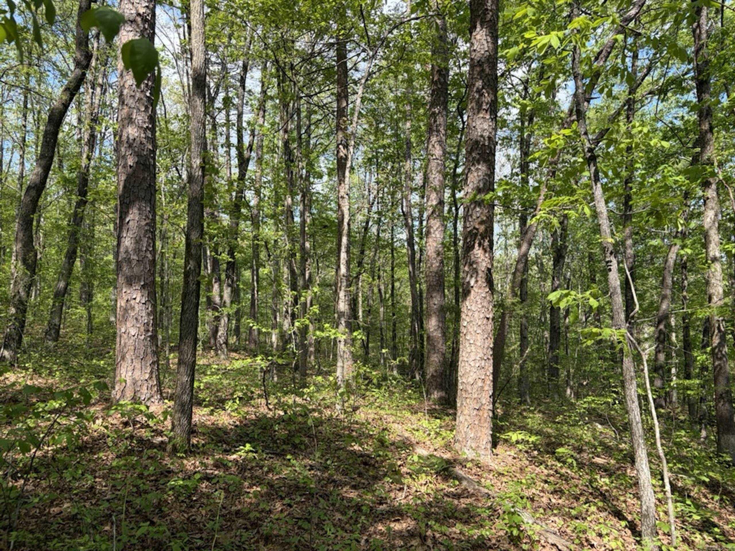 1949 Hwy 9 E  Shirley, AR