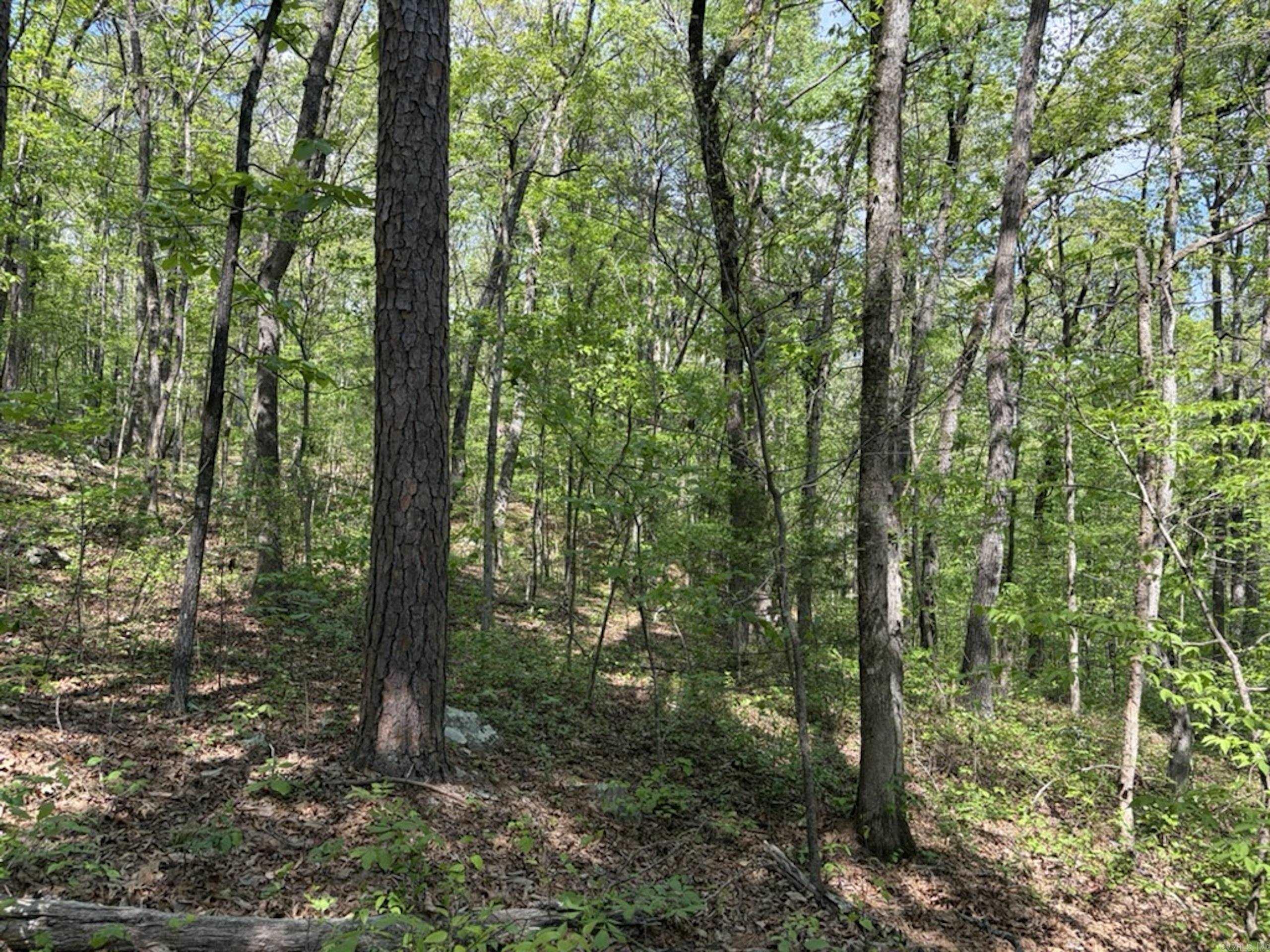 1949 Hwy 9 E  Shirley, AR