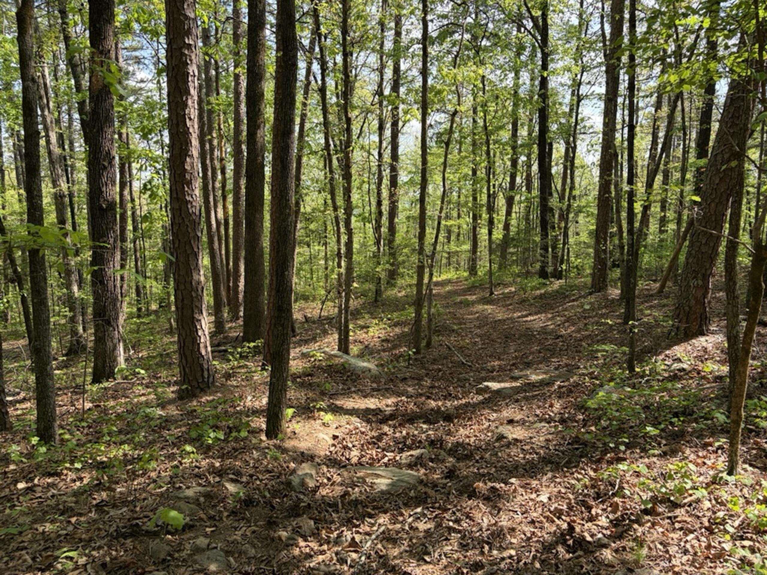 1949 Hwy 9 E  Shirley, AR