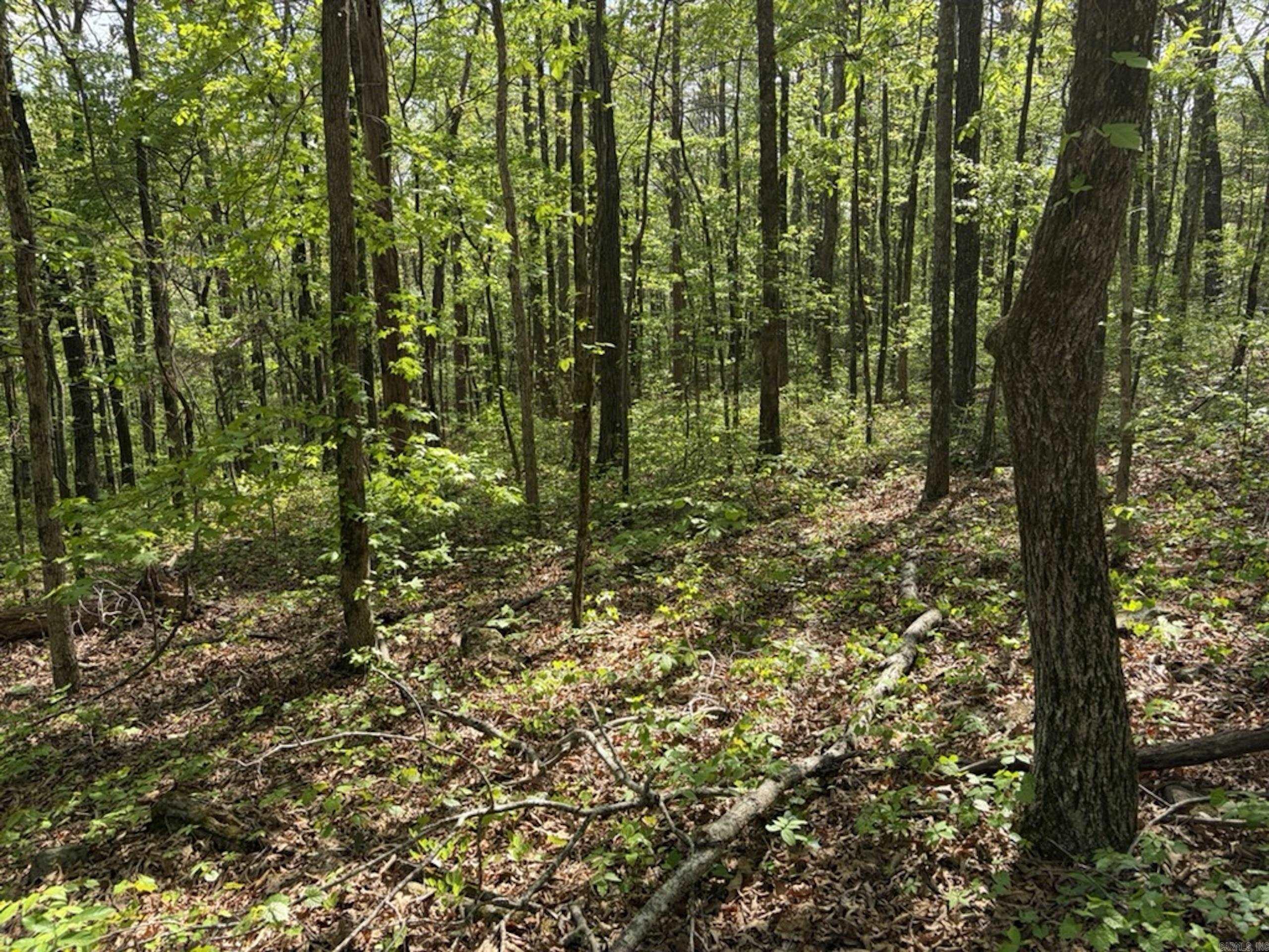 1949 Hwy 9 E  Shirley, AR