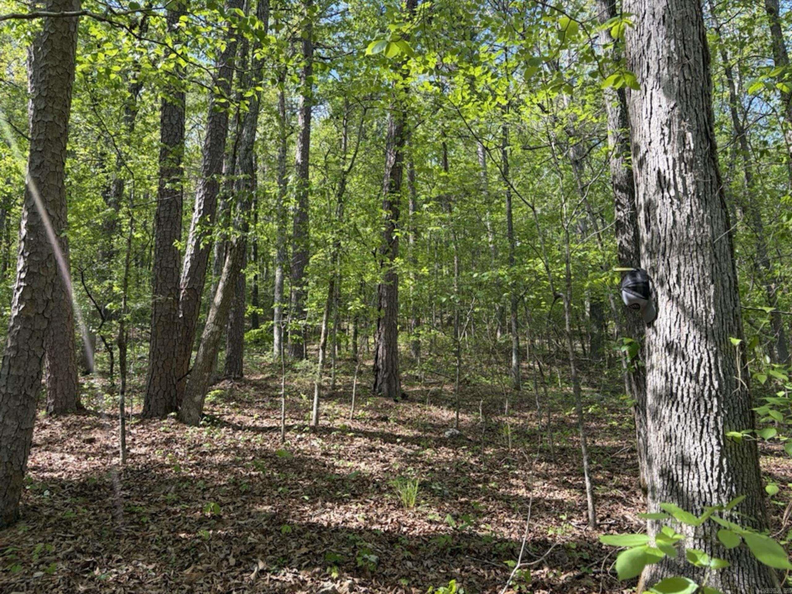 1949 Hwy 9 E  Shirley, AR