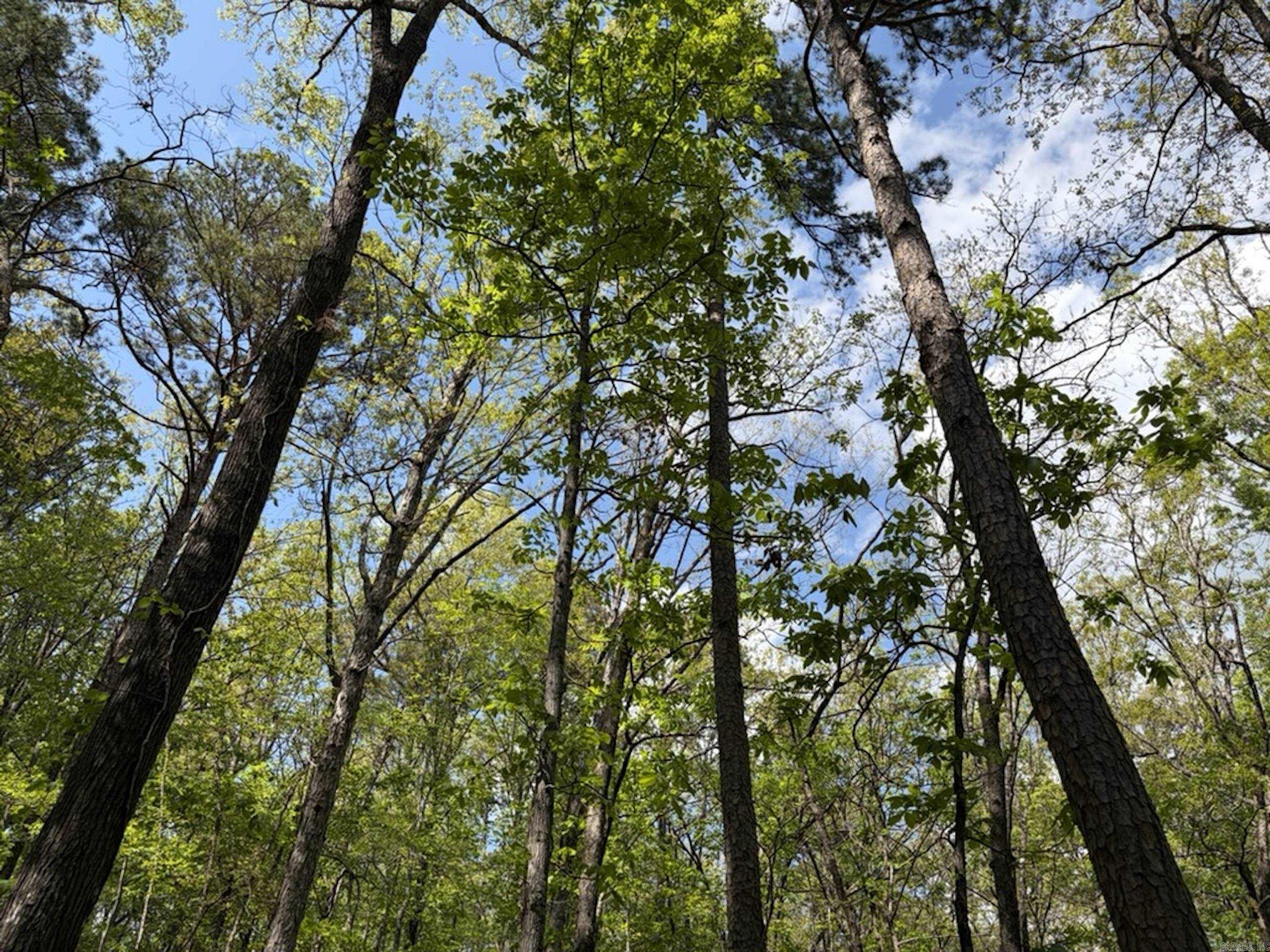 1949 Hwy 9 E  Shirley, AR