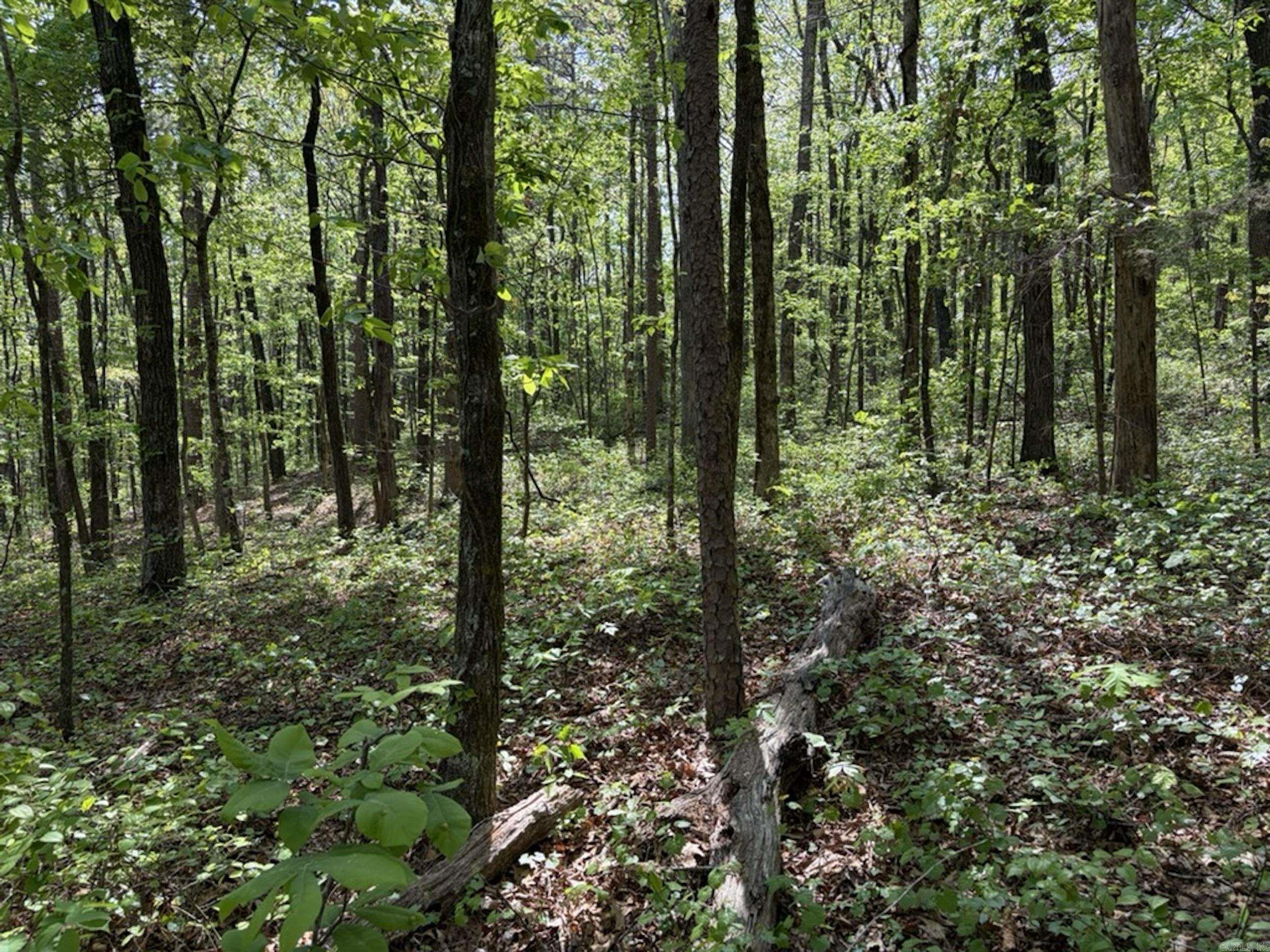 1949 Hwy 9 E  Shirley, AR