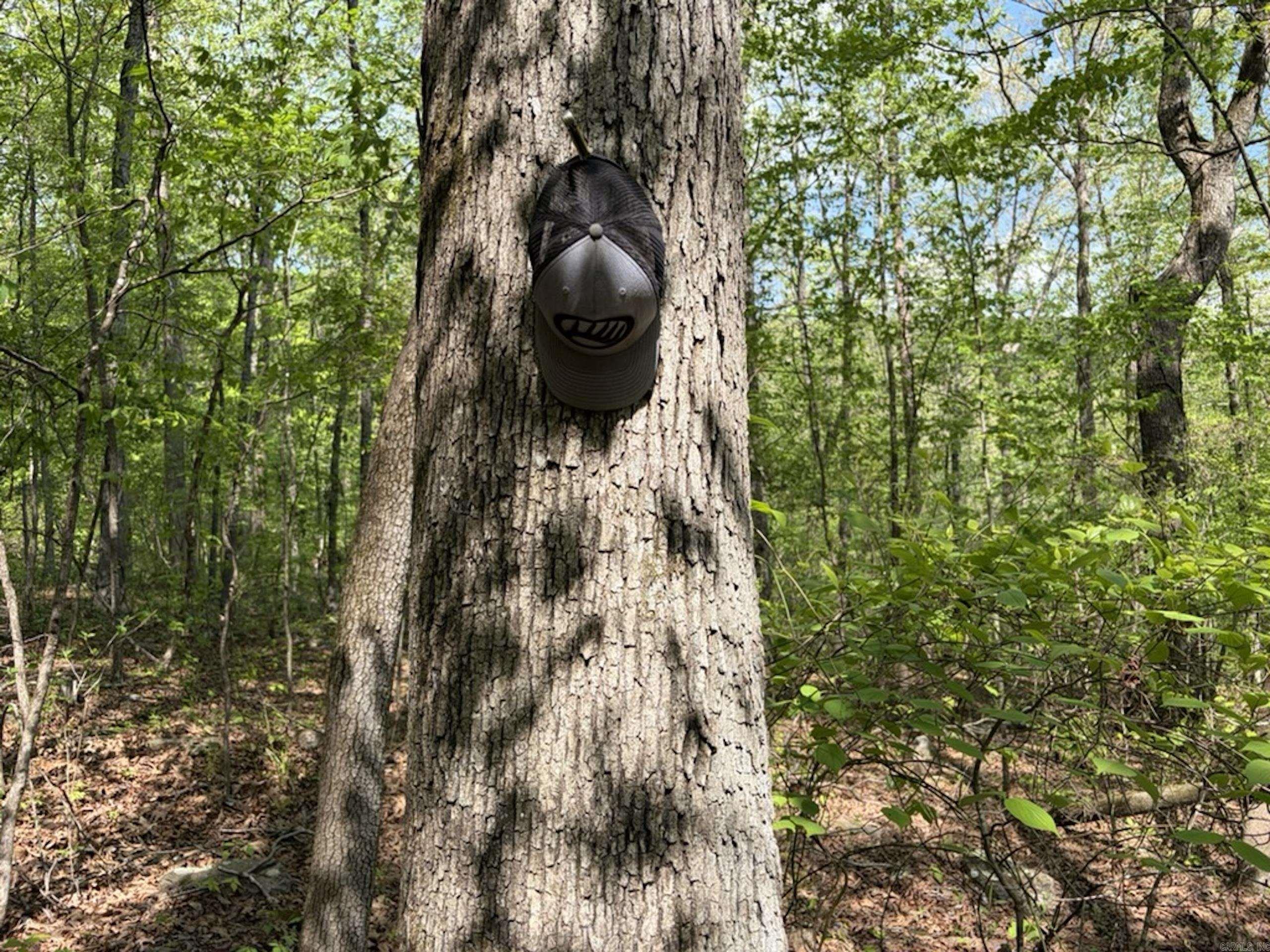 1949 Hwy 9 E  Shirley, AR