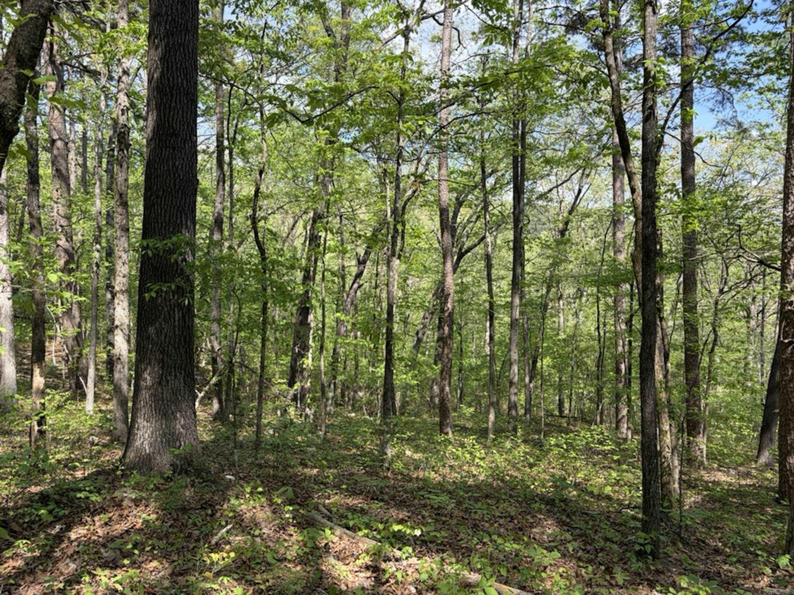 1949 Hwy 9 E  Shirley, AR