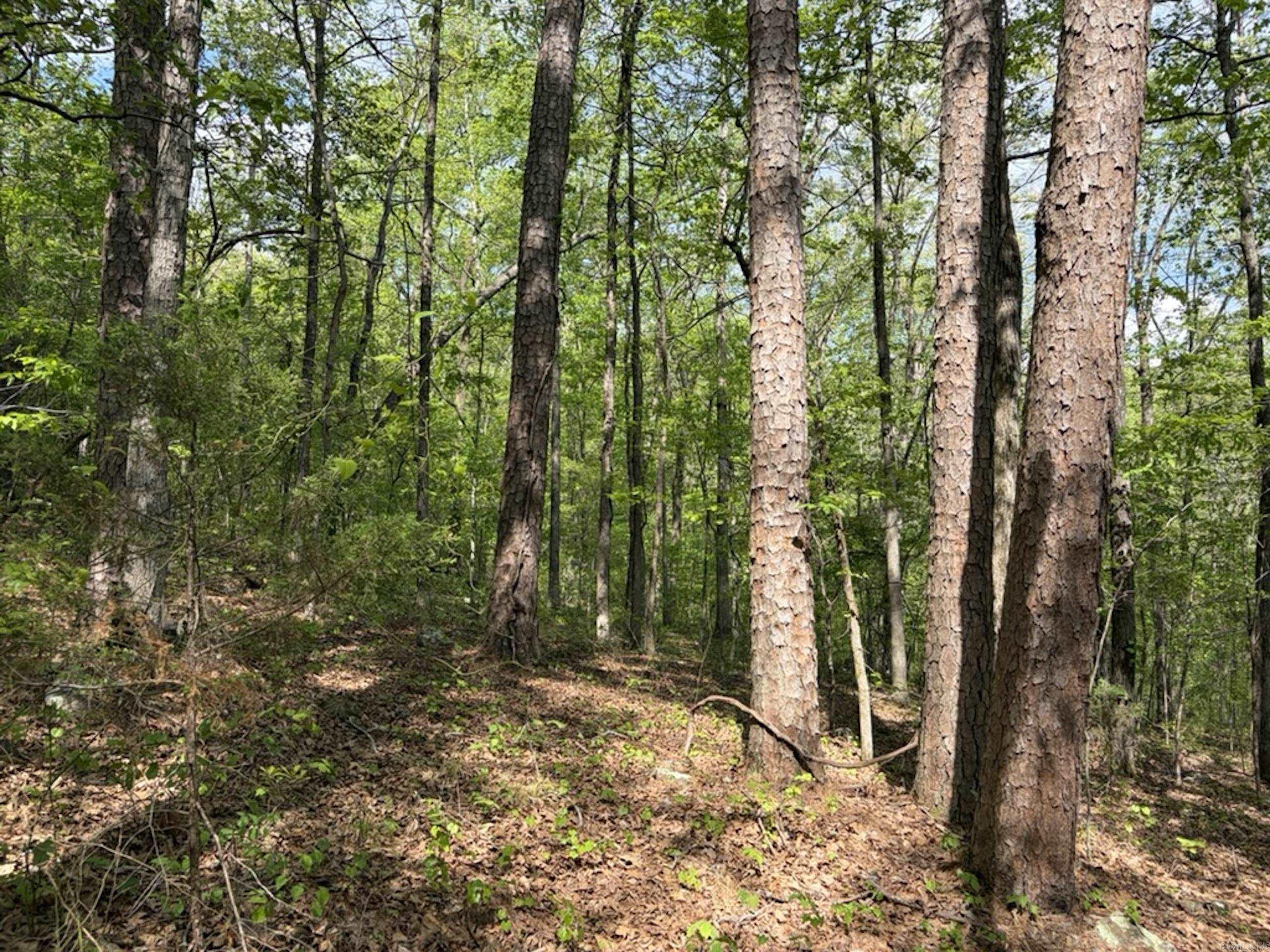 1949 Hwy 9 E  Shirley, AR