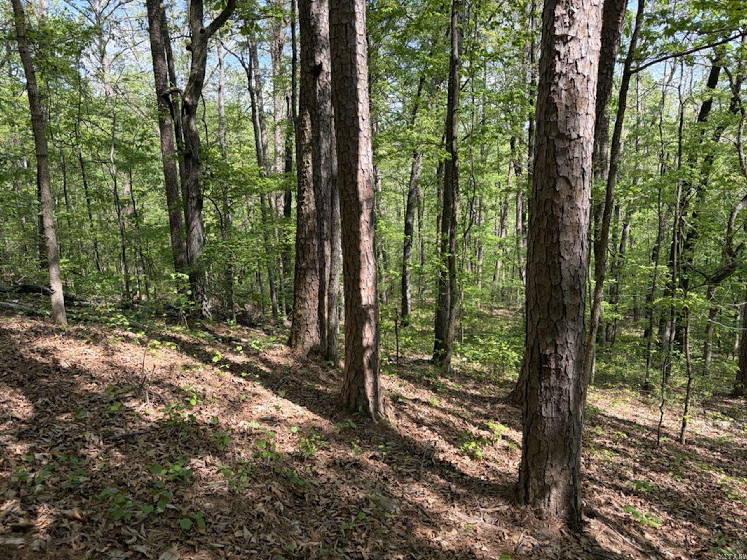 1949 Hwy 9 E  Shirley, AR