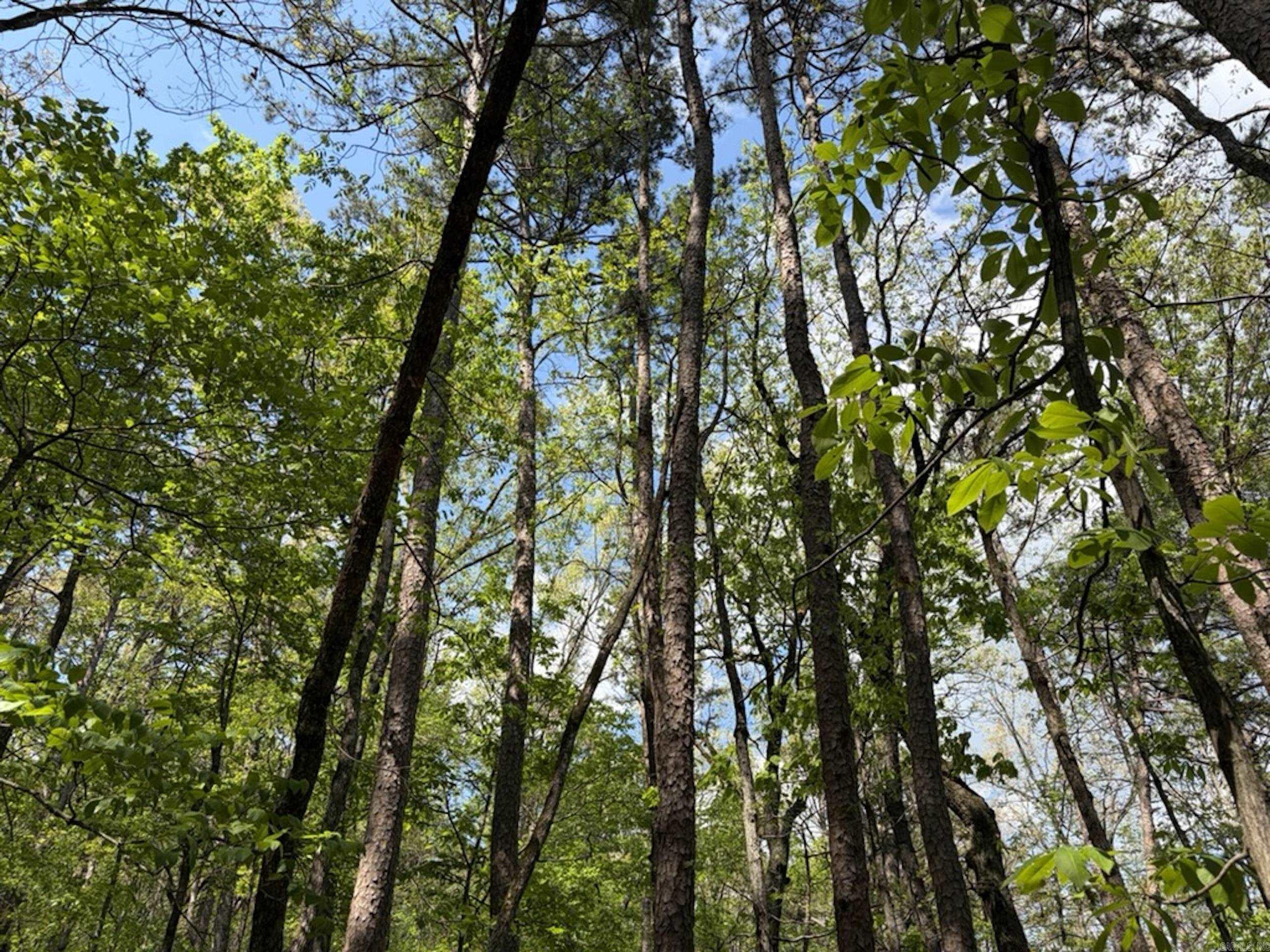 1949 Hwy 9 E  Shirley, AR