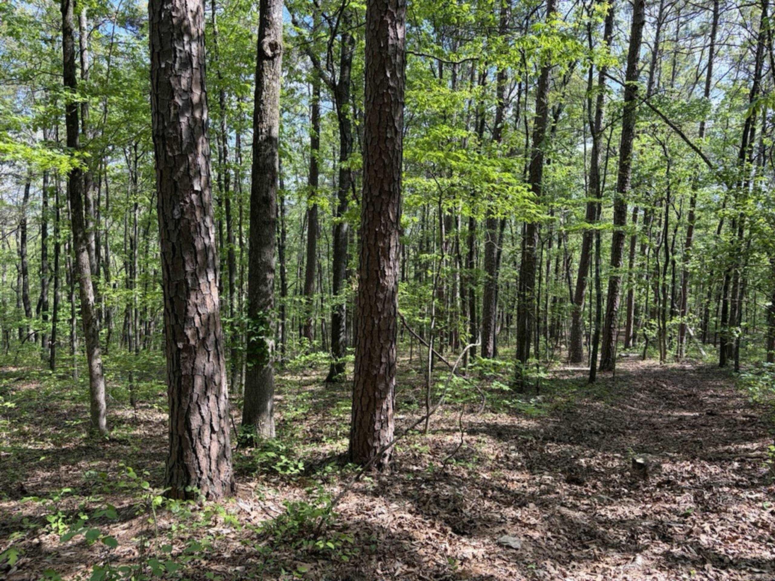 1949 Hwy 9 E  Shirley, AR