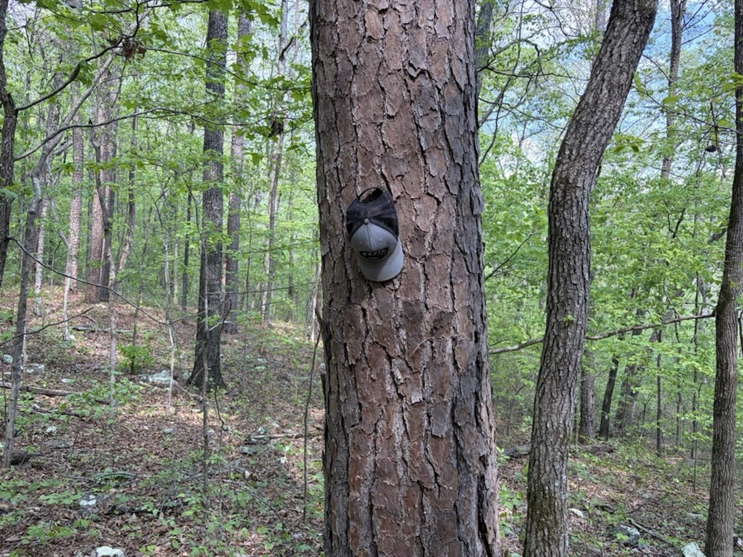 1949 Hwy 9 E  Shirley, AR