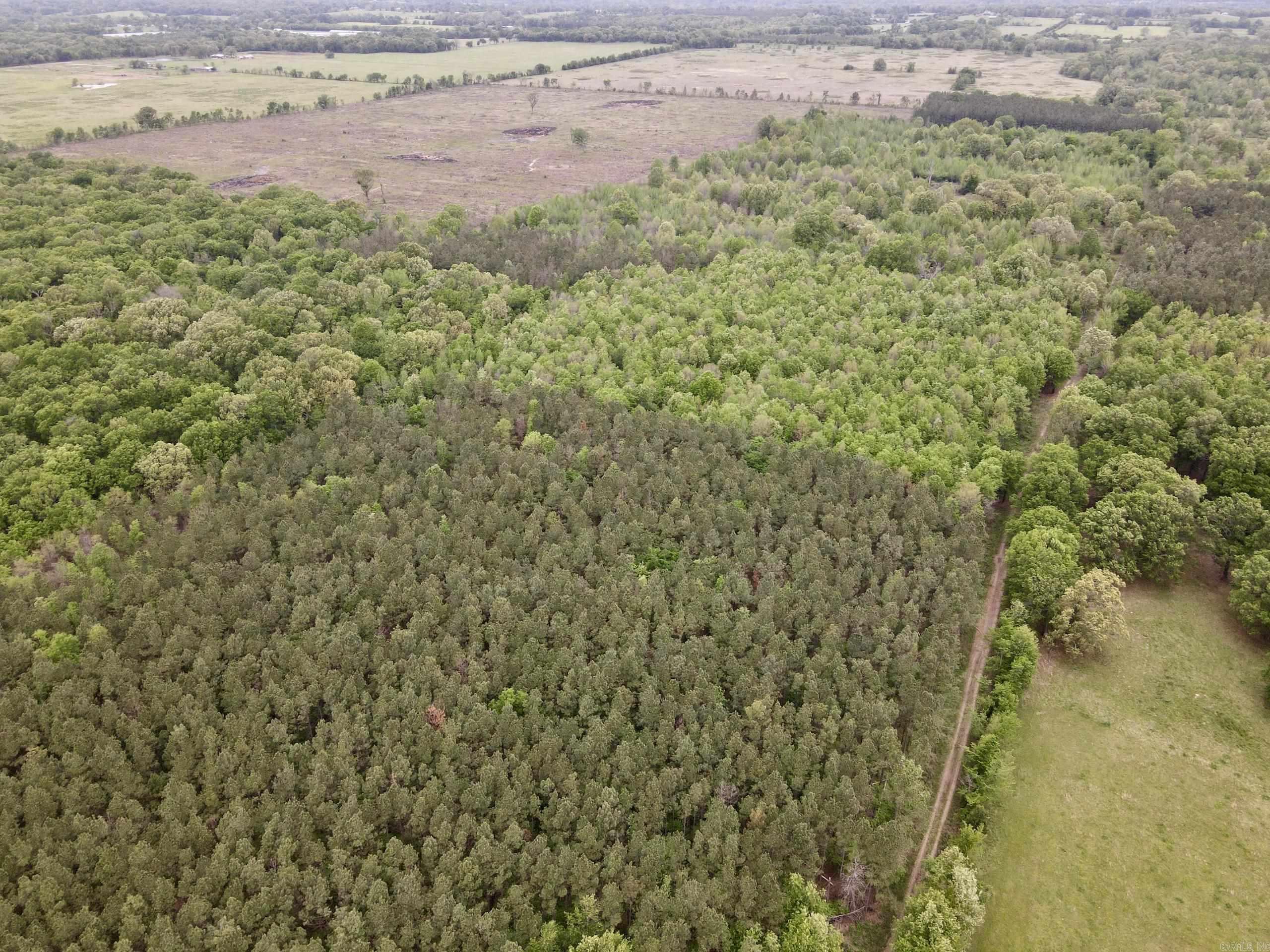 000 Drag Strip Road  Dardanelle, AR