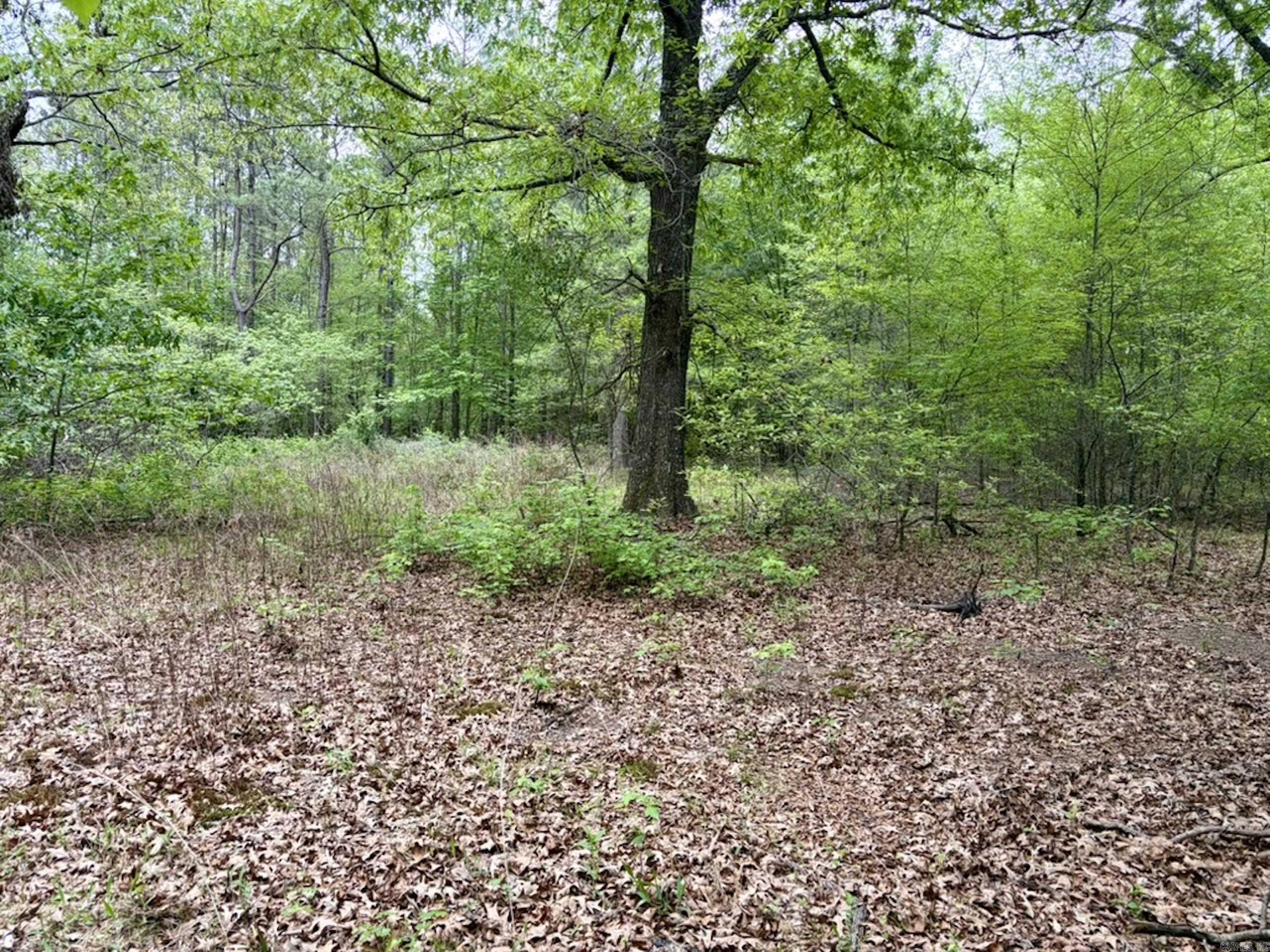 000 Drag Strip Road  Dardanelle, AR