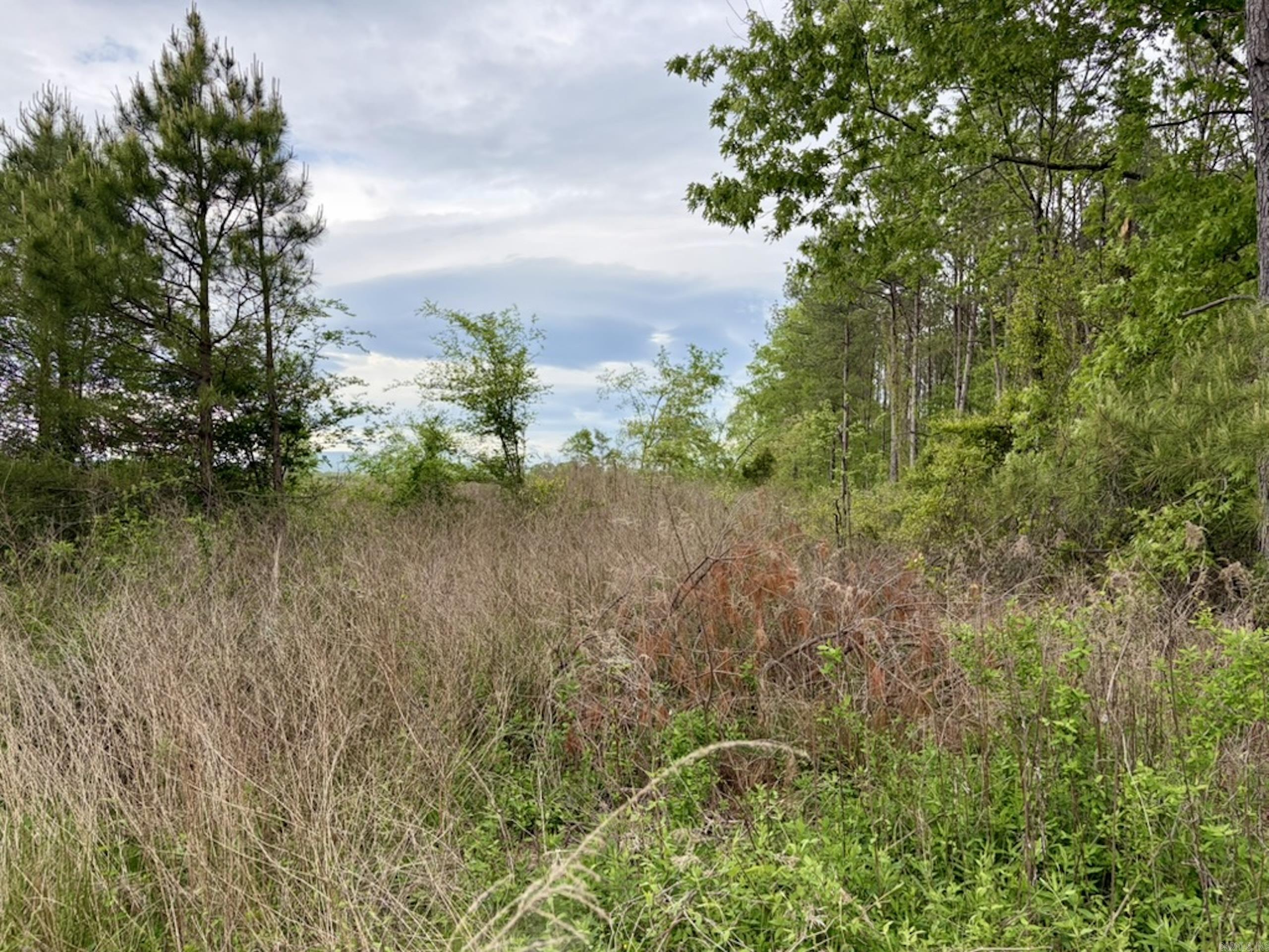 000 Drag Strip Road  Dardanelle, AR