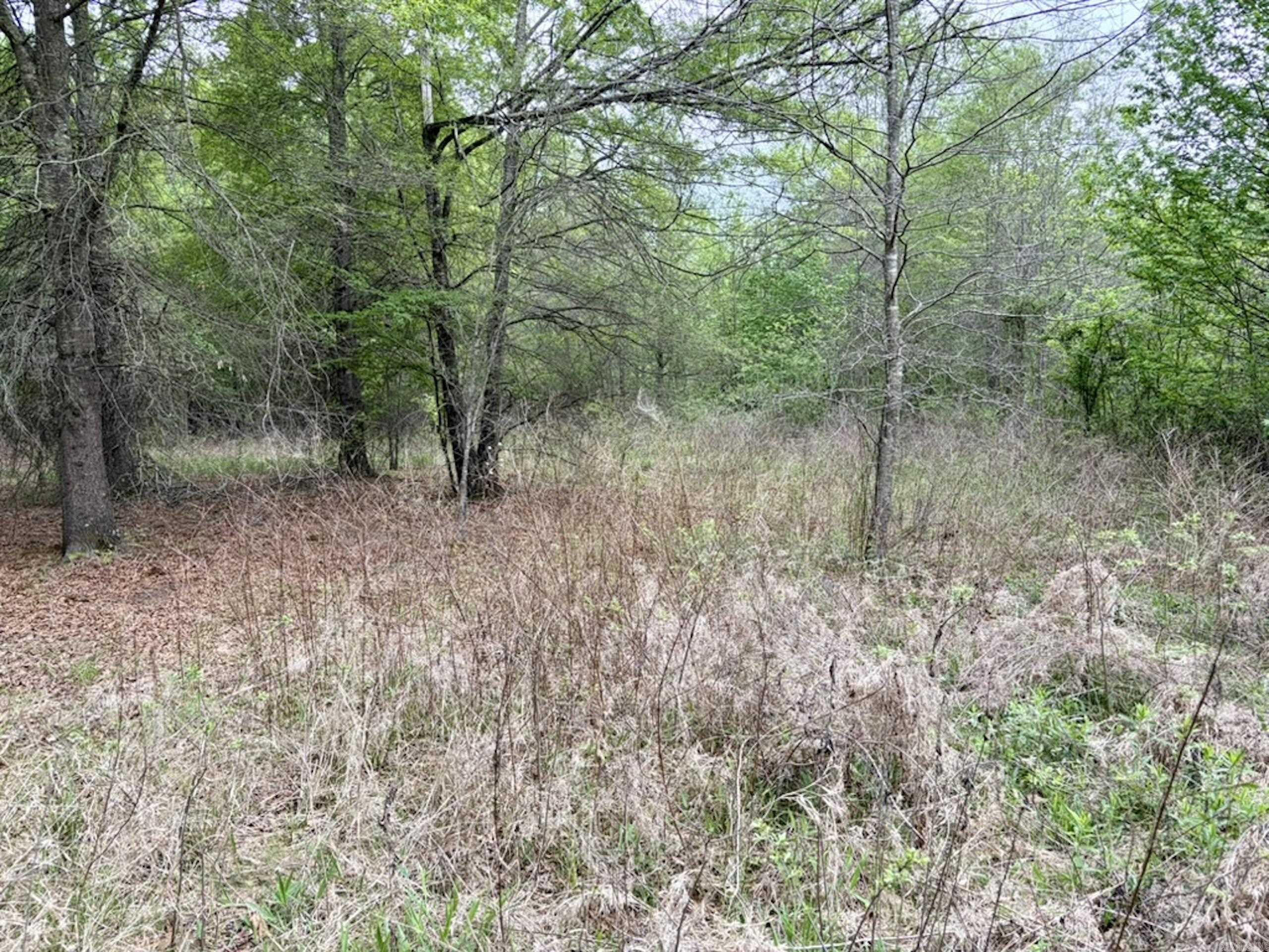 000 Drag Strip Road  Dardanelle, AR