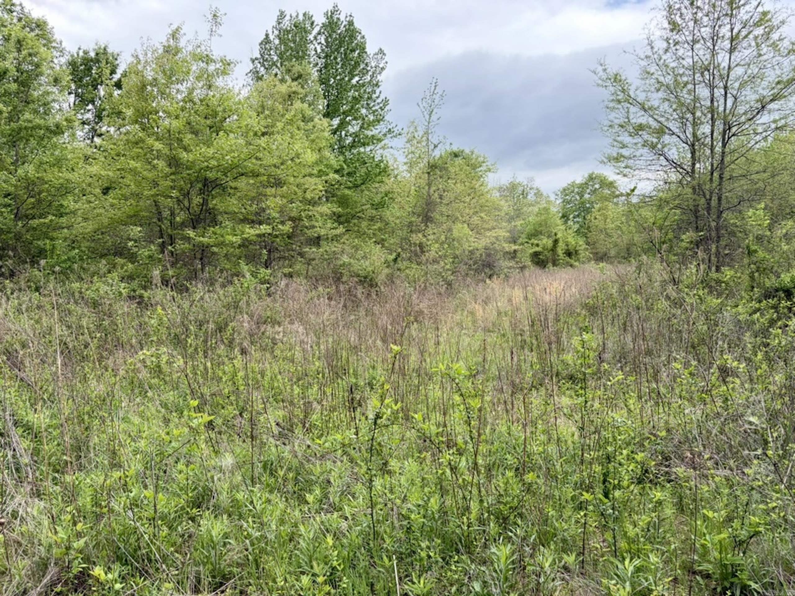 000 Drag Strip Road  Dardanelle, AR