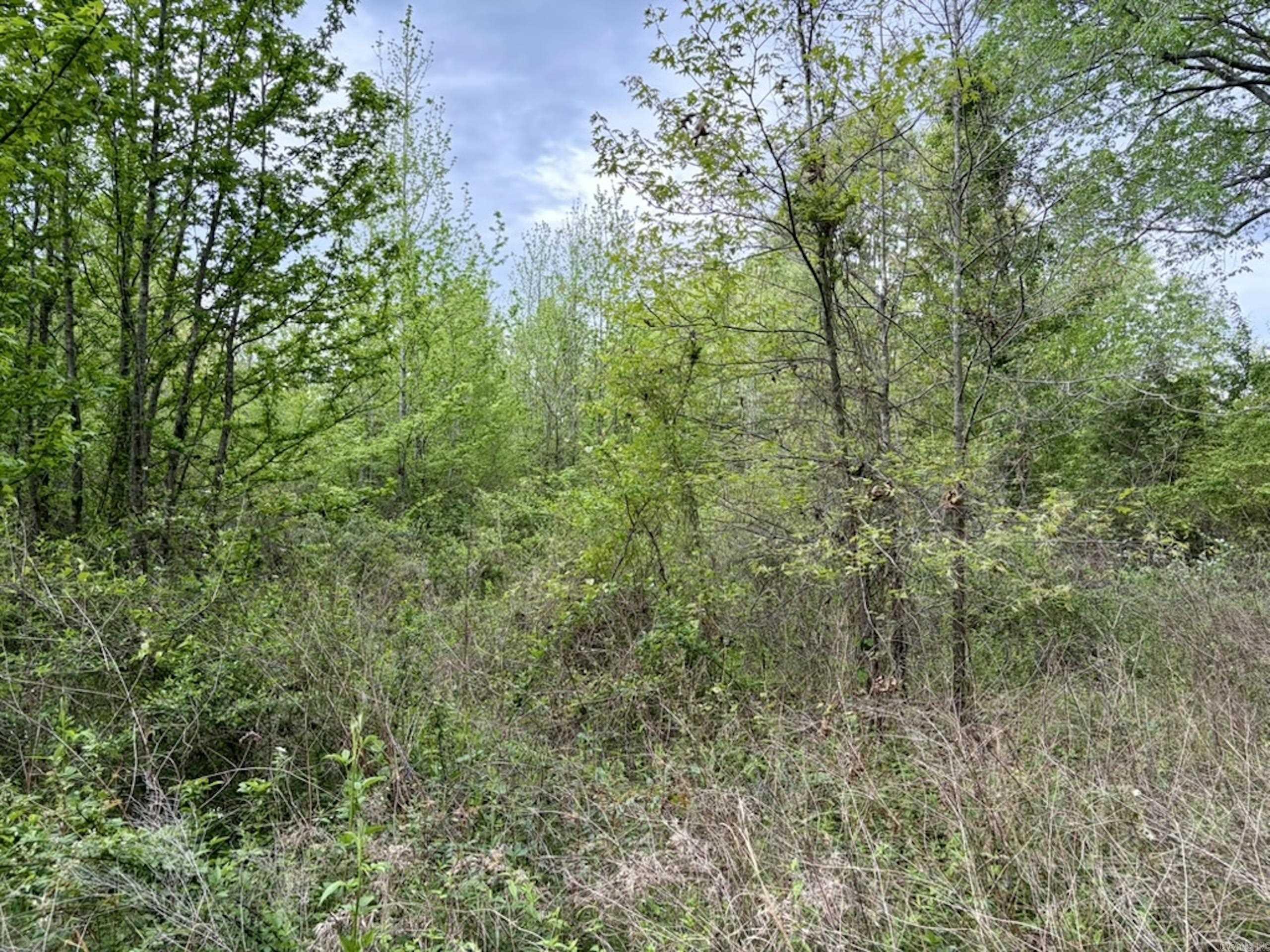 000 Drag Strip Road  Dardanelle, AR