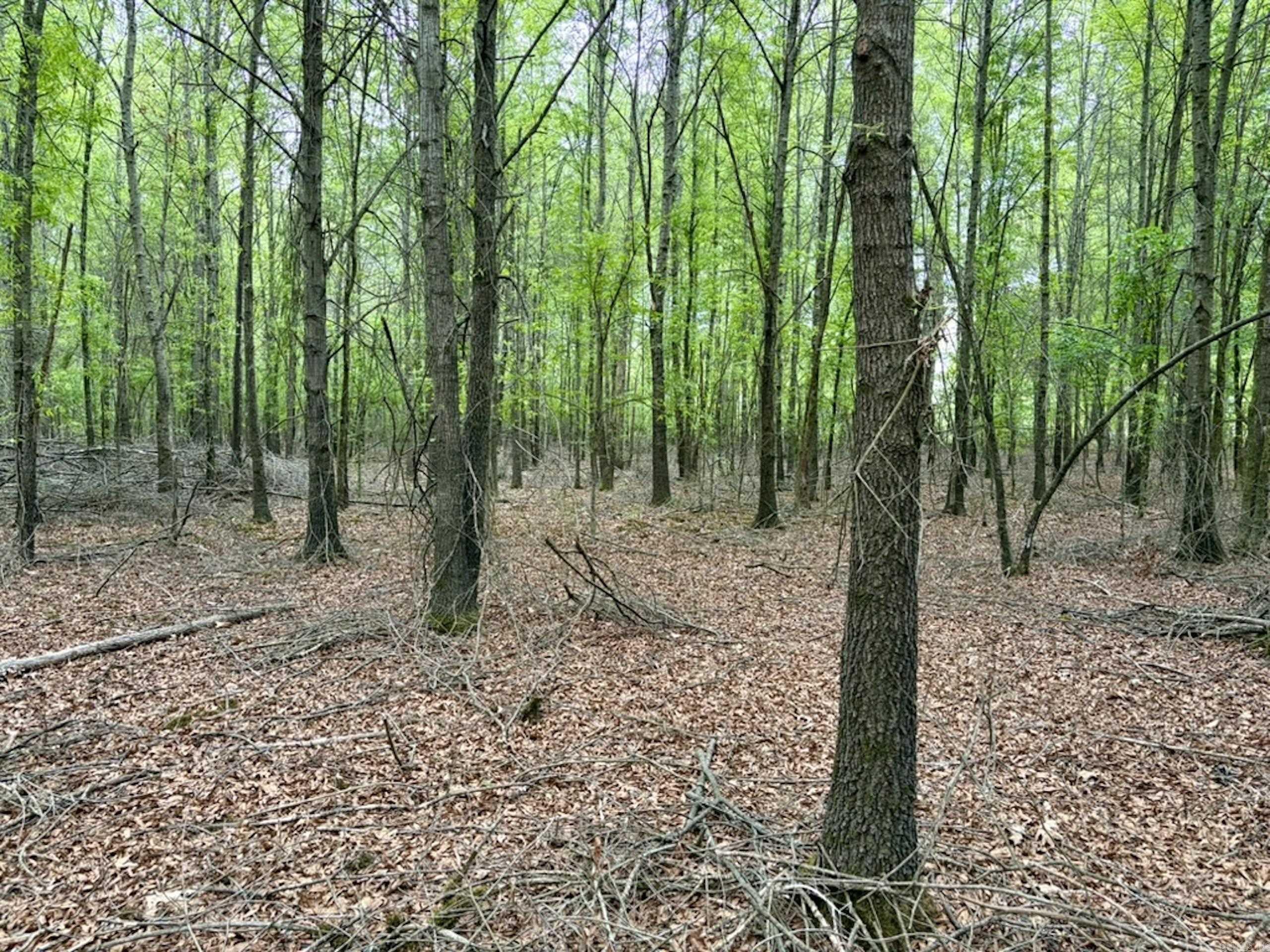 000 Drag Strip Road  Dardanelle, AR