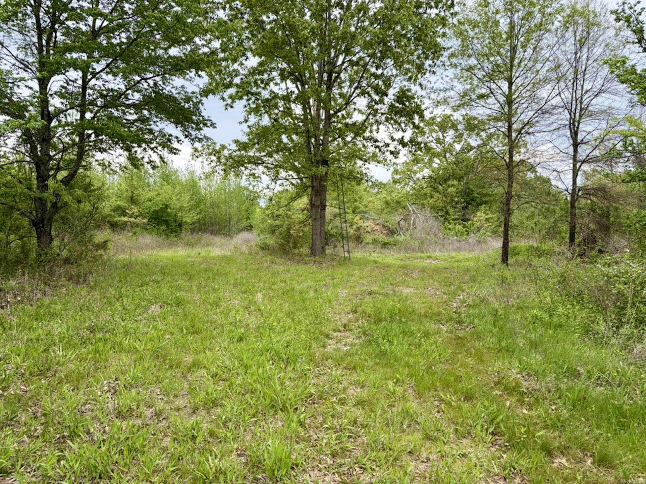 000 Drag Strip Road  Dardanelle, AR