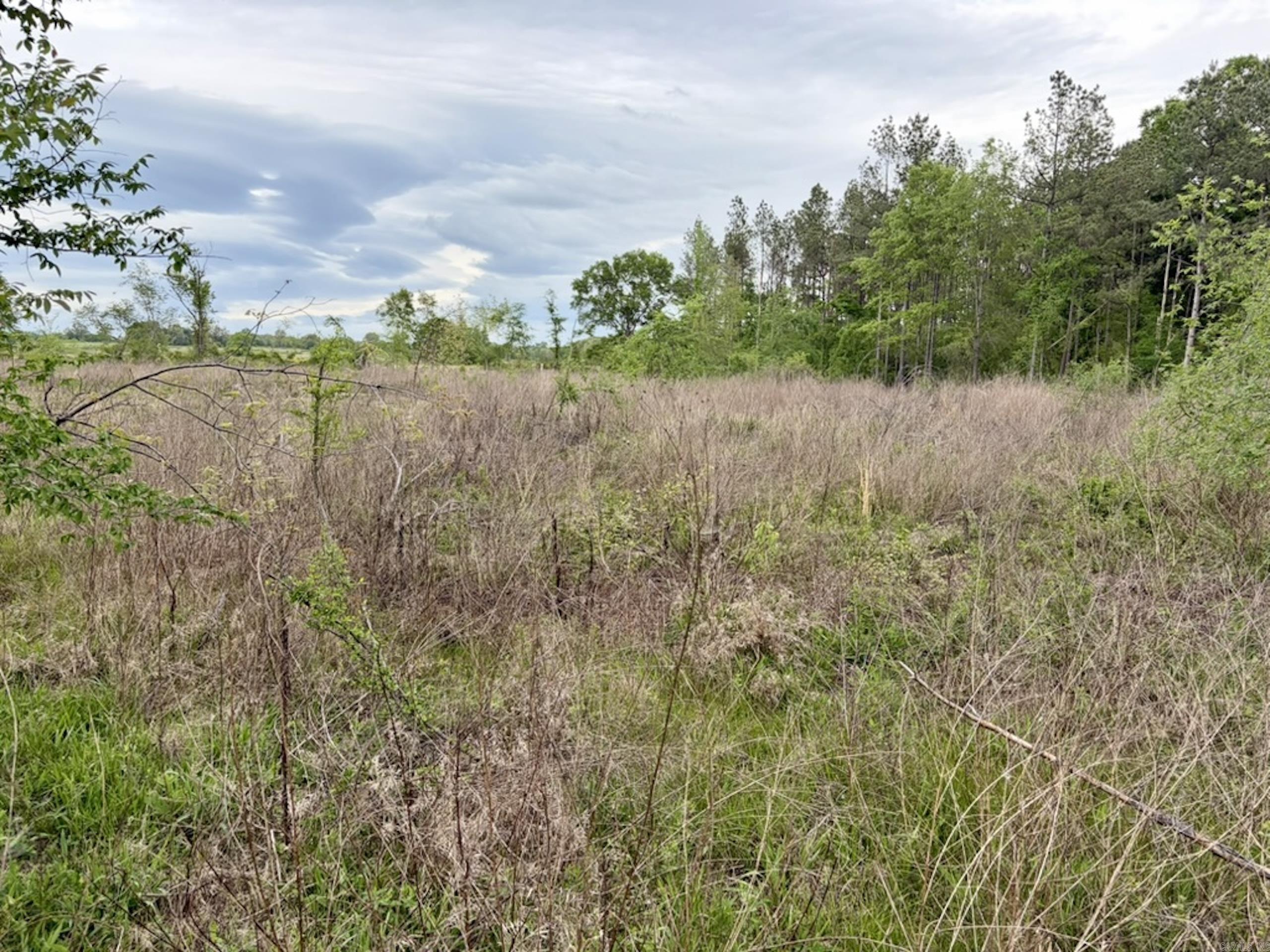 000 Drag Strip Road  Dardanelle, AR