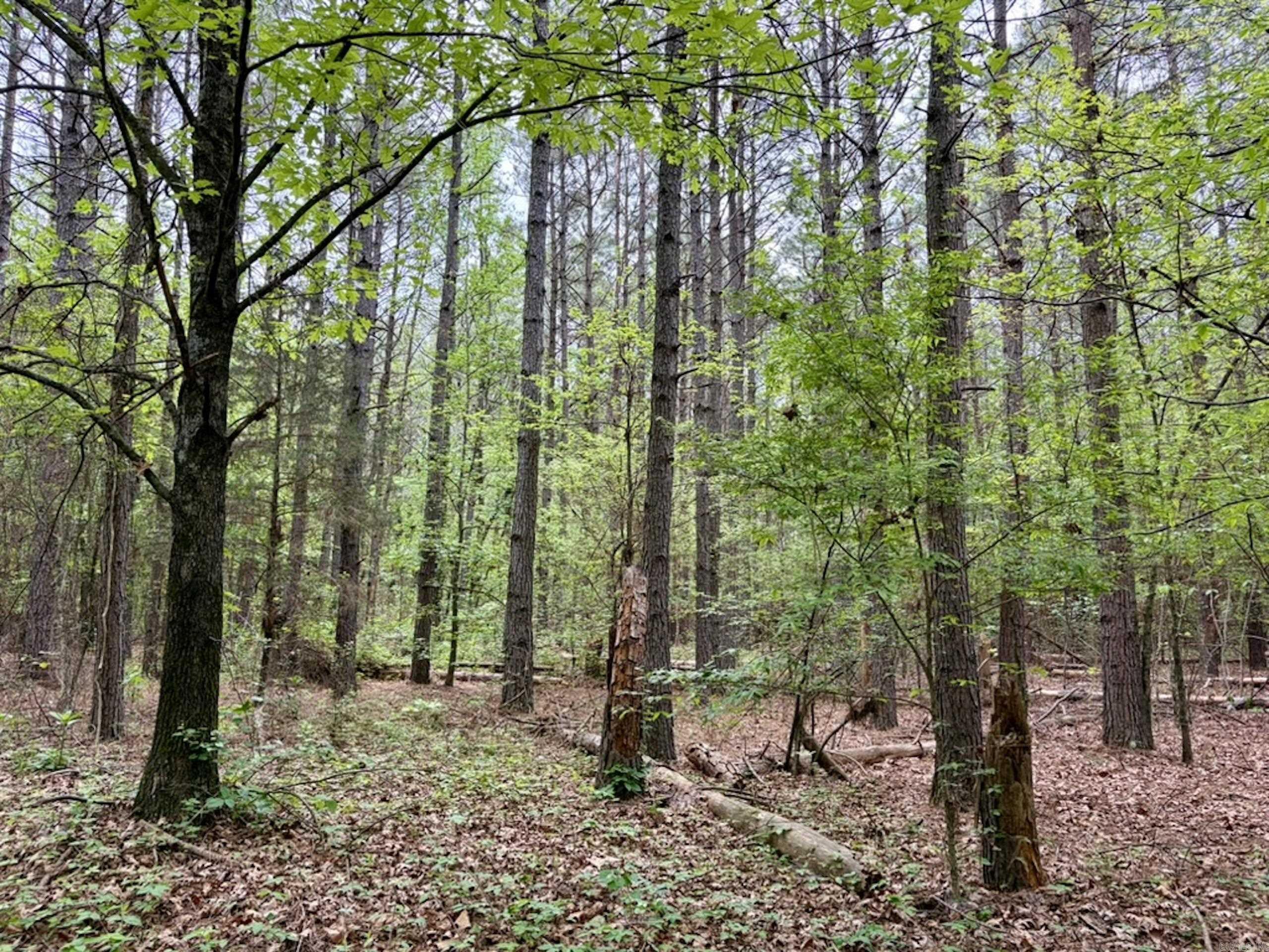 000 Drag Strip Road  Dardanelle, AR