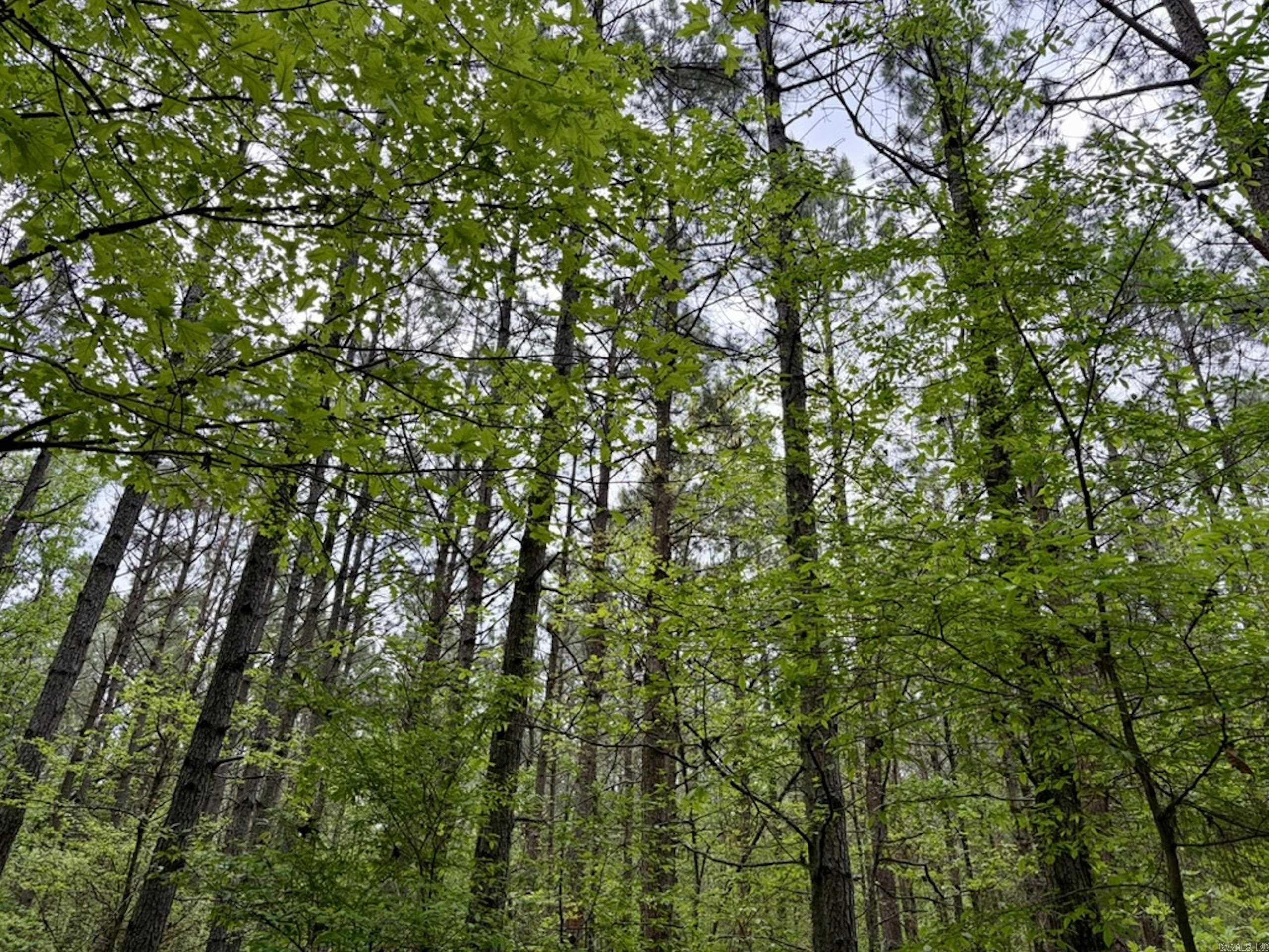 000 Drag Strip Road  Dardanelle, AR