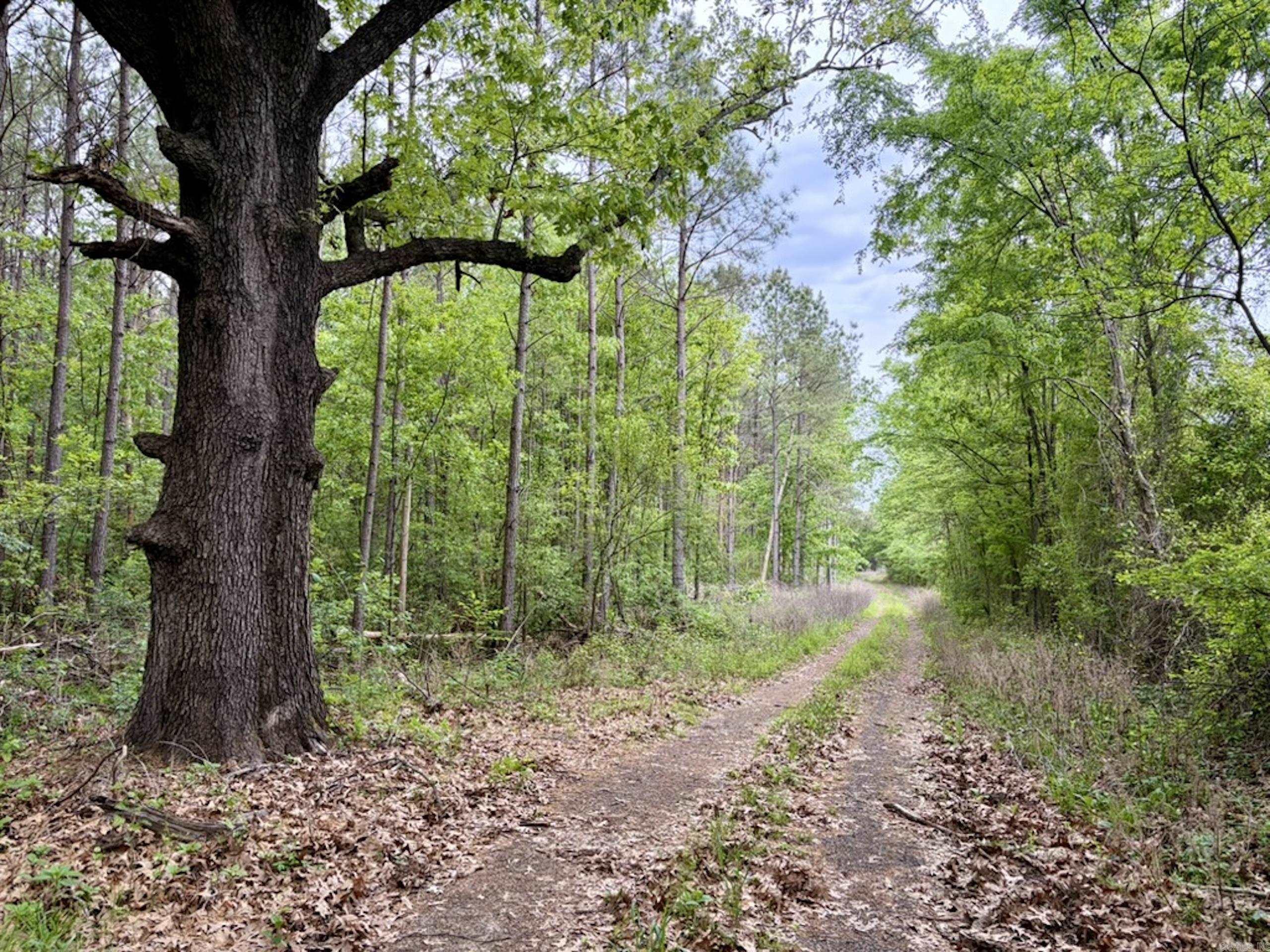 000 Drag Strip Road  Dardanelle, AR