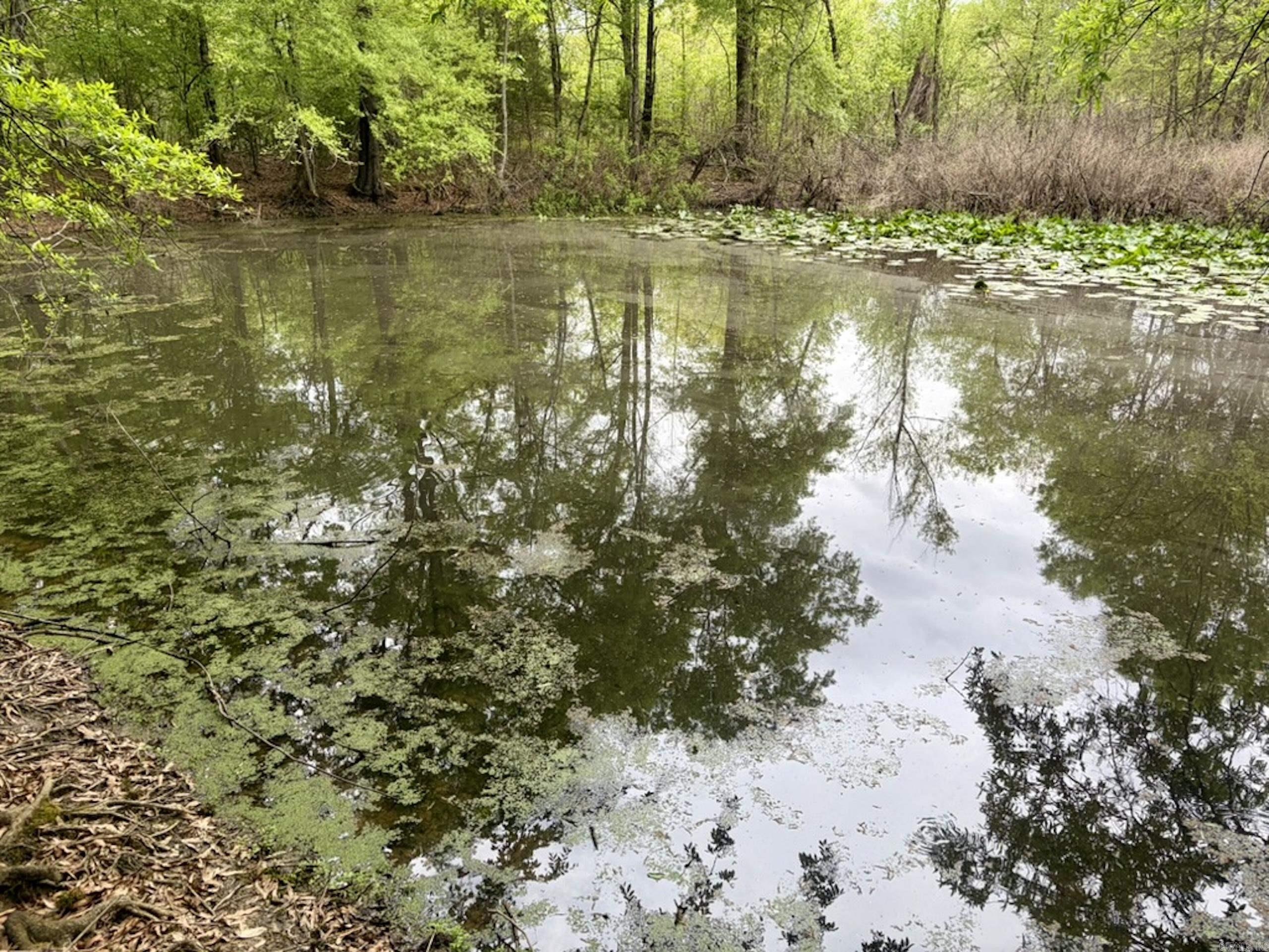 000 Drag Strip Road  Dardanelle, AR