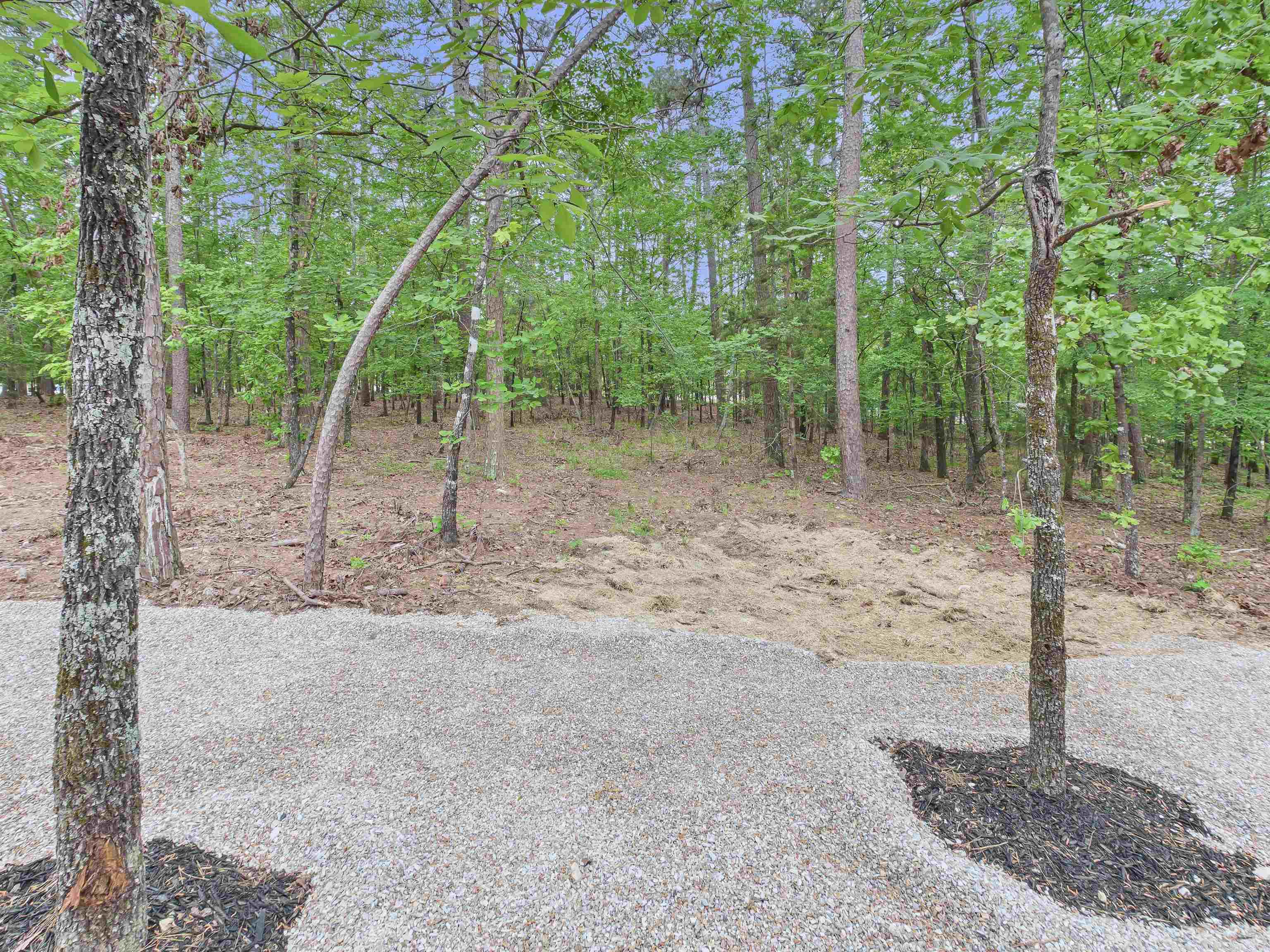 75 Sergio  Hot Springs Village, AR