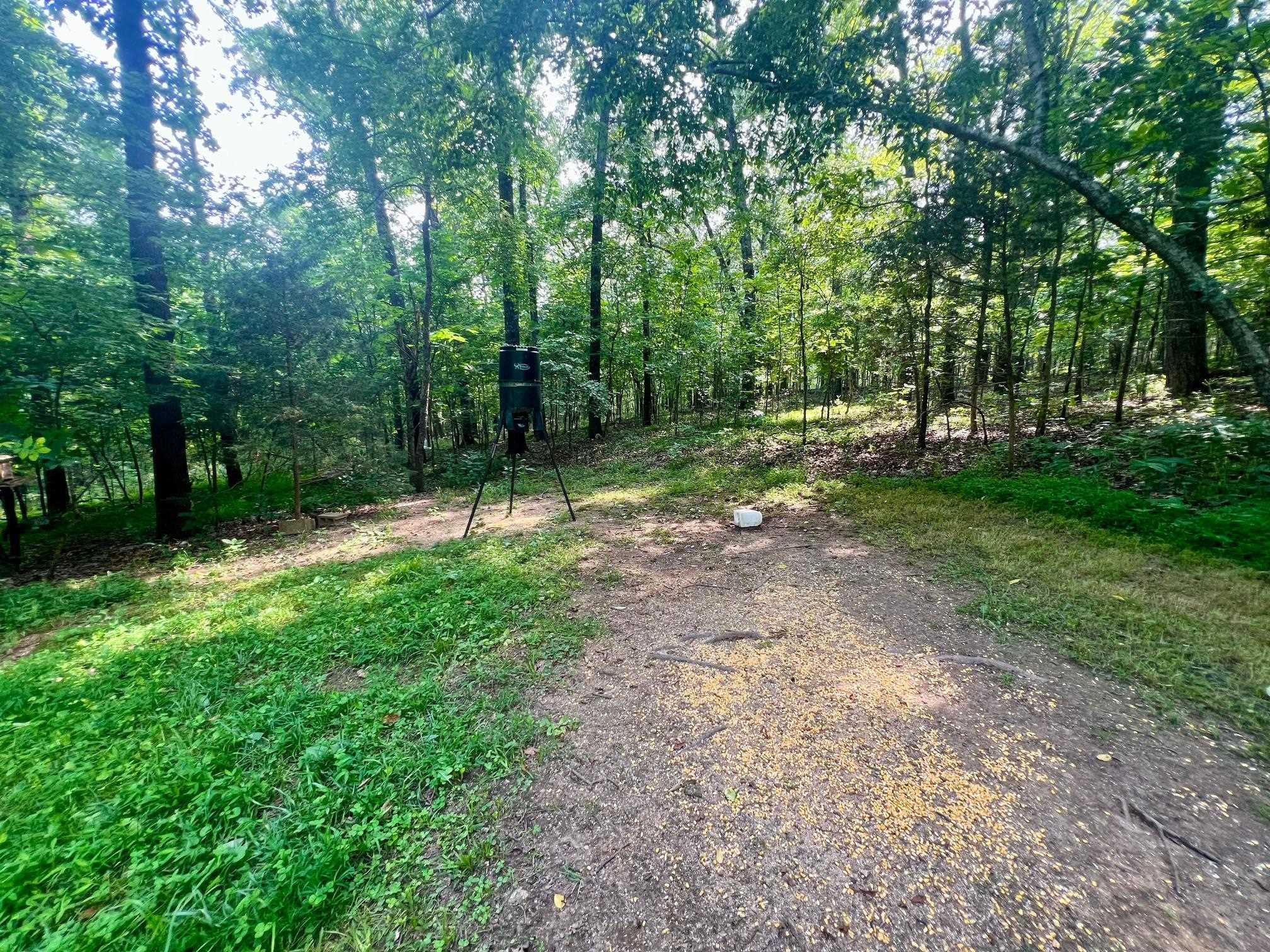 8601 Nine Mile Ridge  Hardy, AR