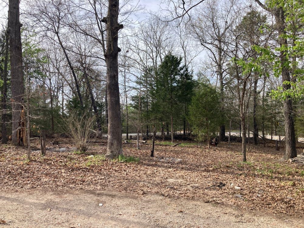 232 Cherokee  Cherokee Village, AR