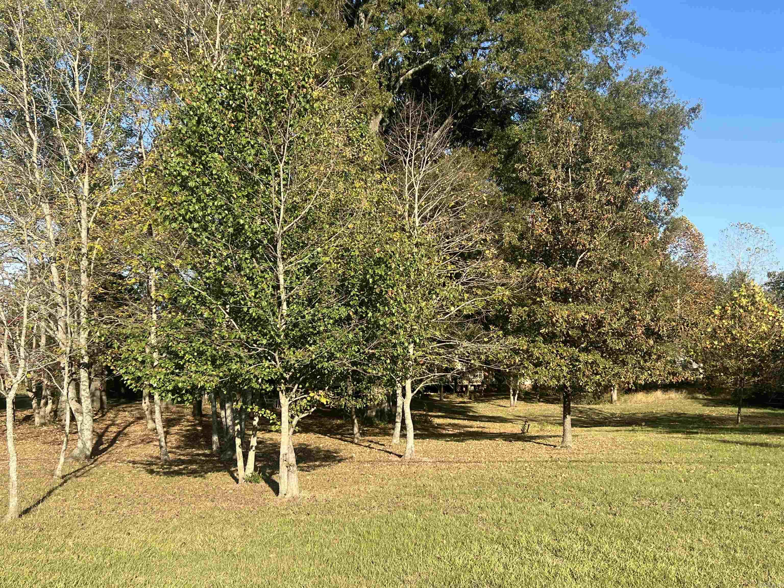 373 Heather Loop  Lonoke, AR