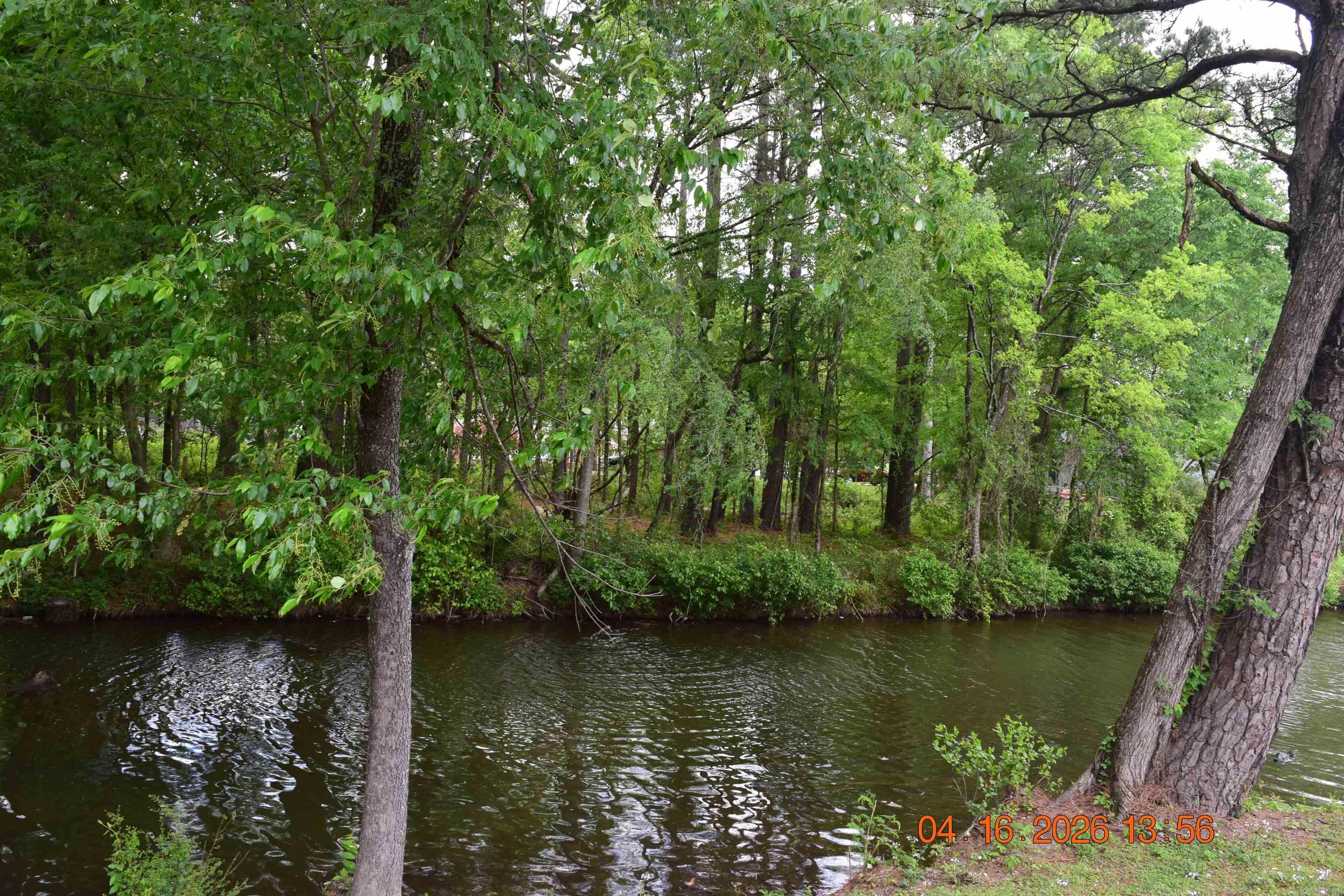 XXX BIG DUKE Lots 13-17 Hot Springs, AR