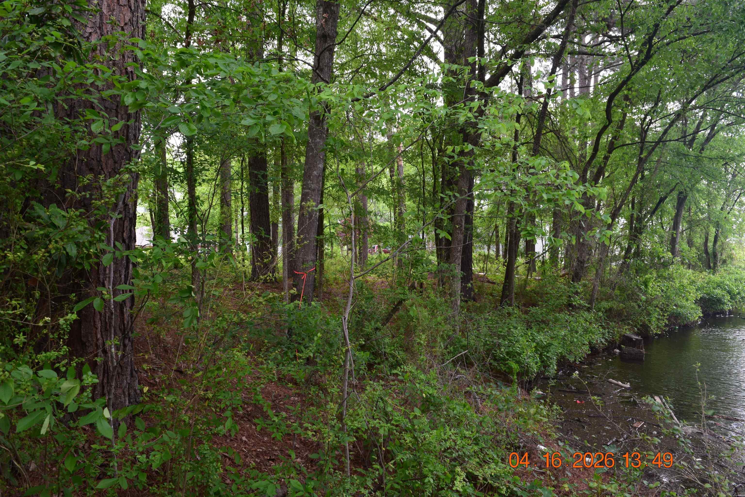 XXX BIG DUKE Lots 13-17 Hot Springs, AR