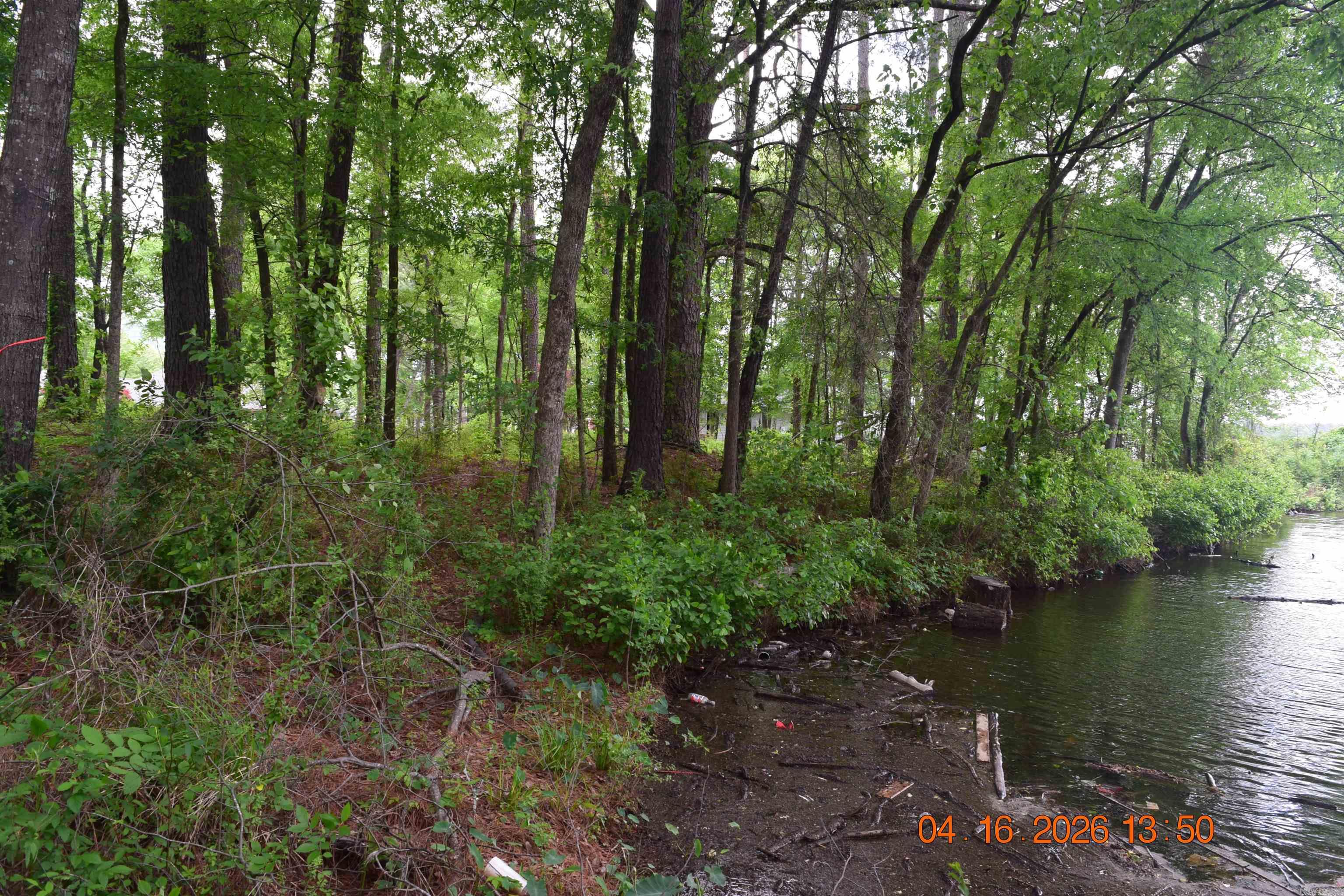 XXX BIG DUKE Lots 13-17 Hot Springs, AR