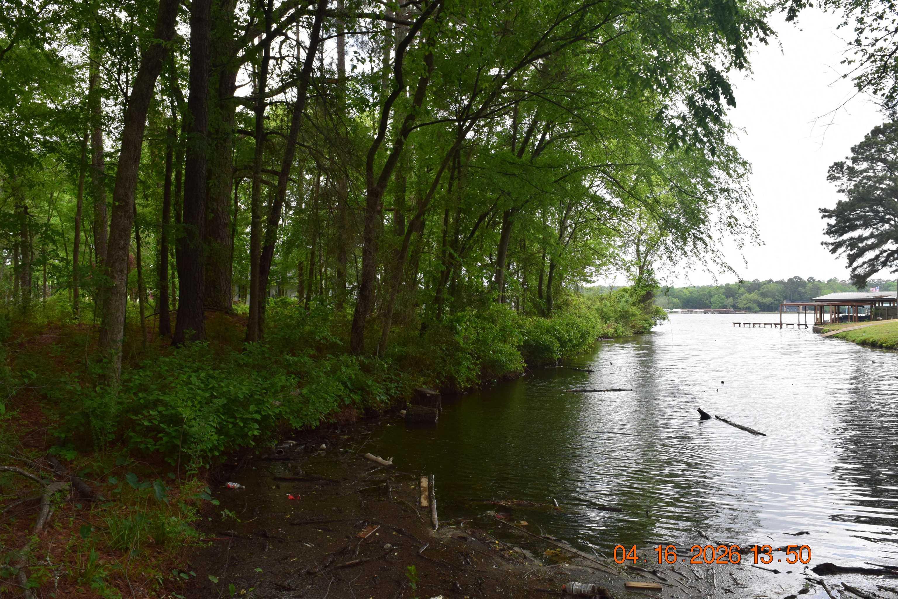 XXX BIG DUKE Lots 13-17 Hot Springs, AR