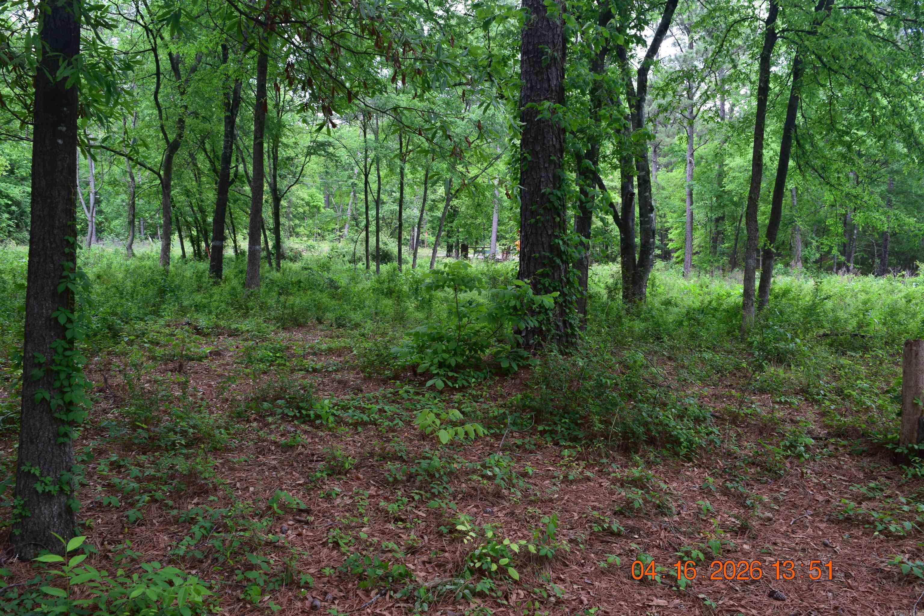 XXX BIG DUKE Lots 13-17 Hot Springs, AR