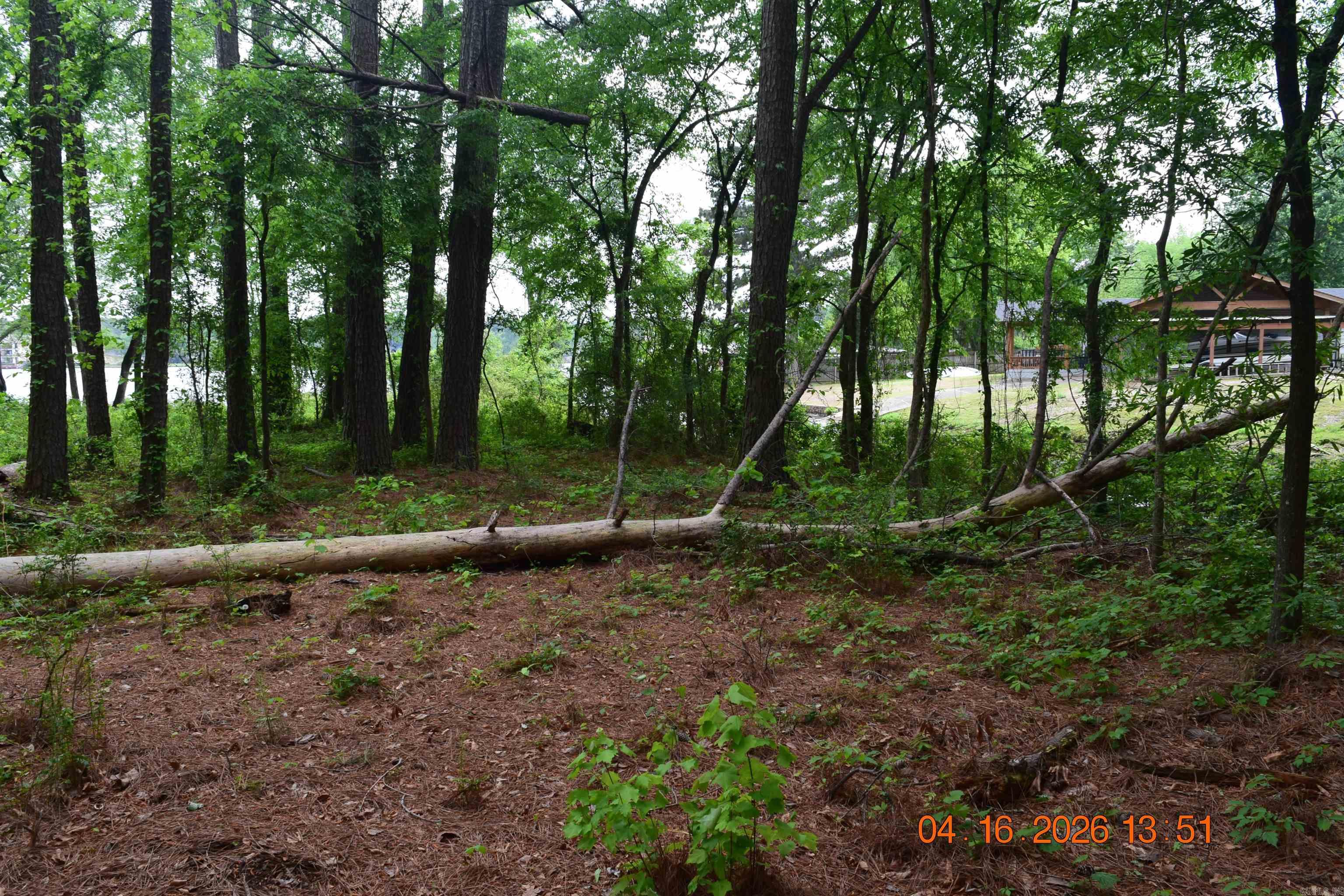 XXX BIG DUKE Lots 13-17 Hot Springs, AR