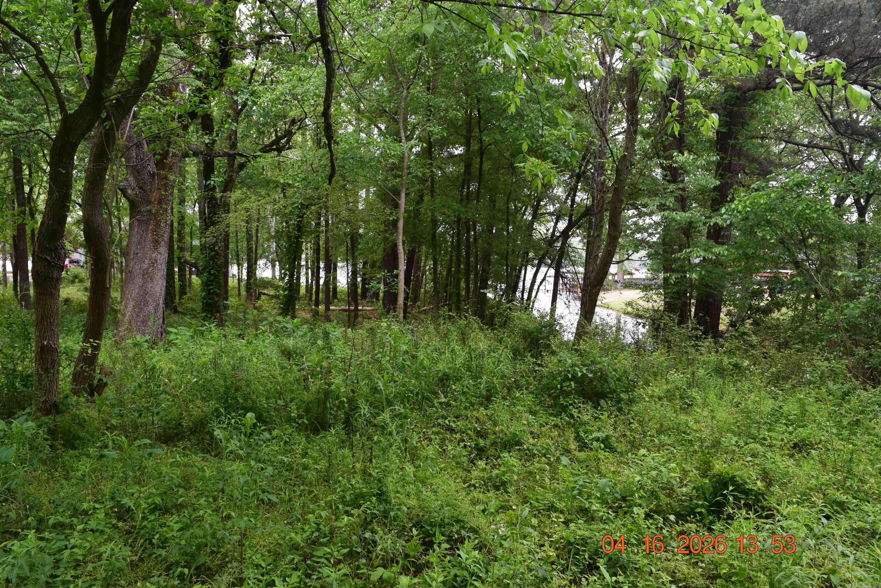 XXX BIG DUKE Lots 13-17 Hot Springs, AR