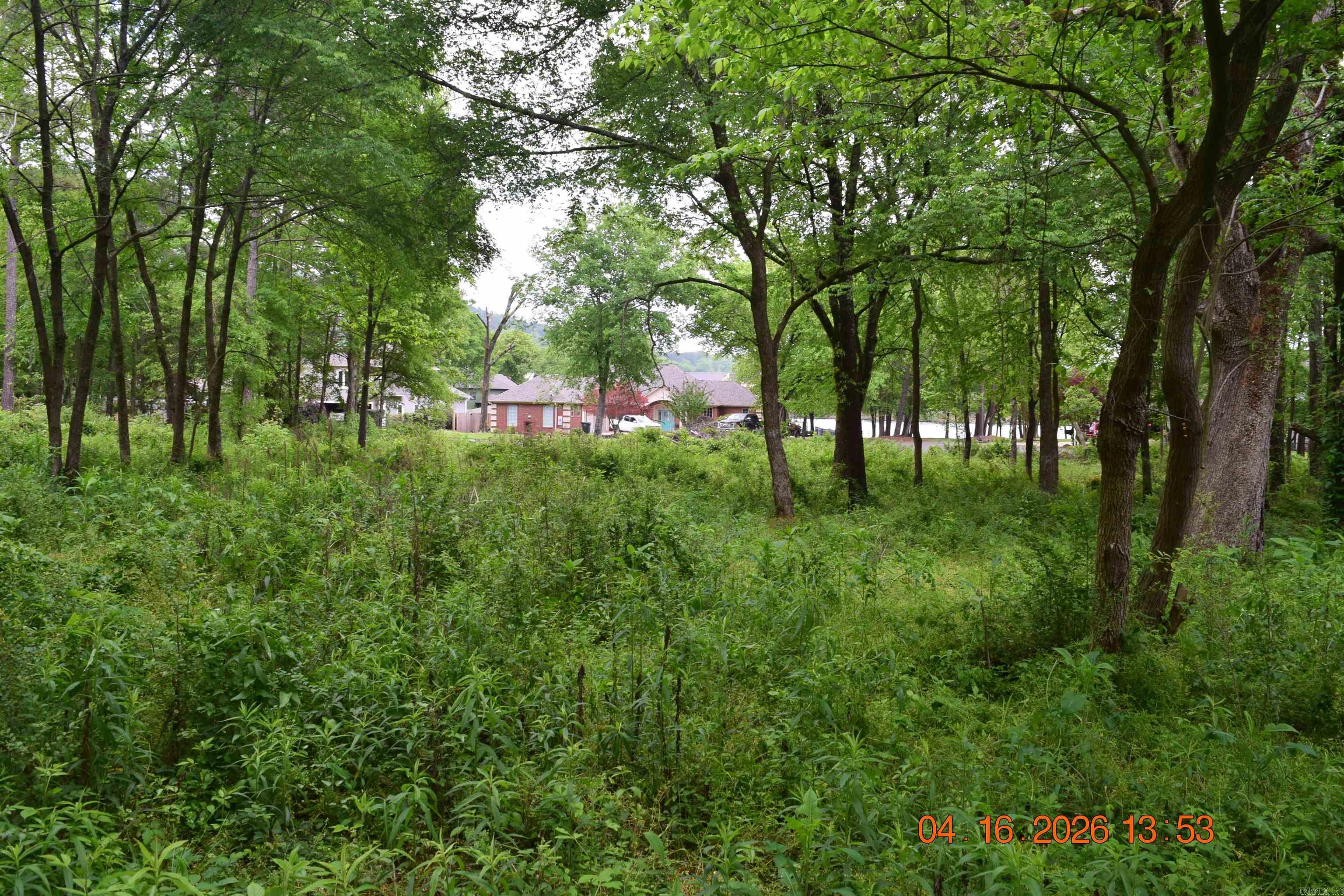 XXX BIG DUKE Lots 13-17 Hot Springs, AR