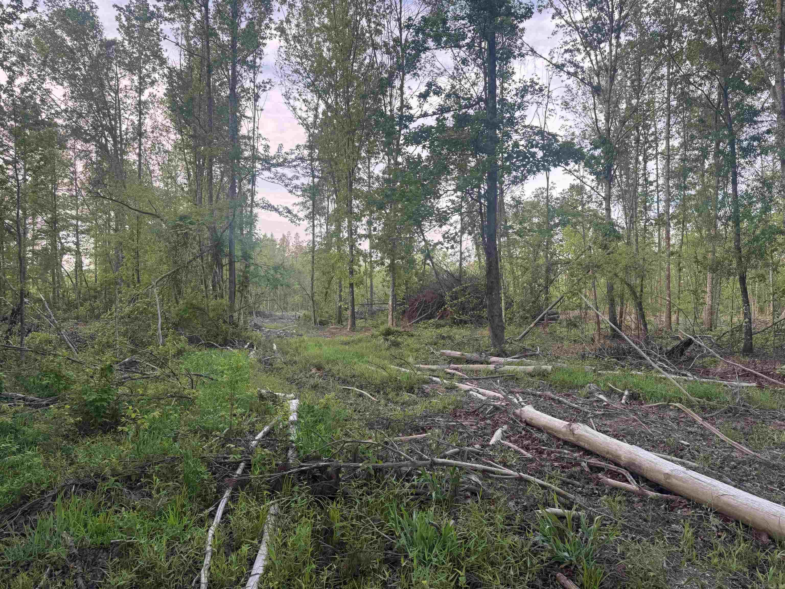 000 Pinebergen rd lot A  Pine Bluff, AR