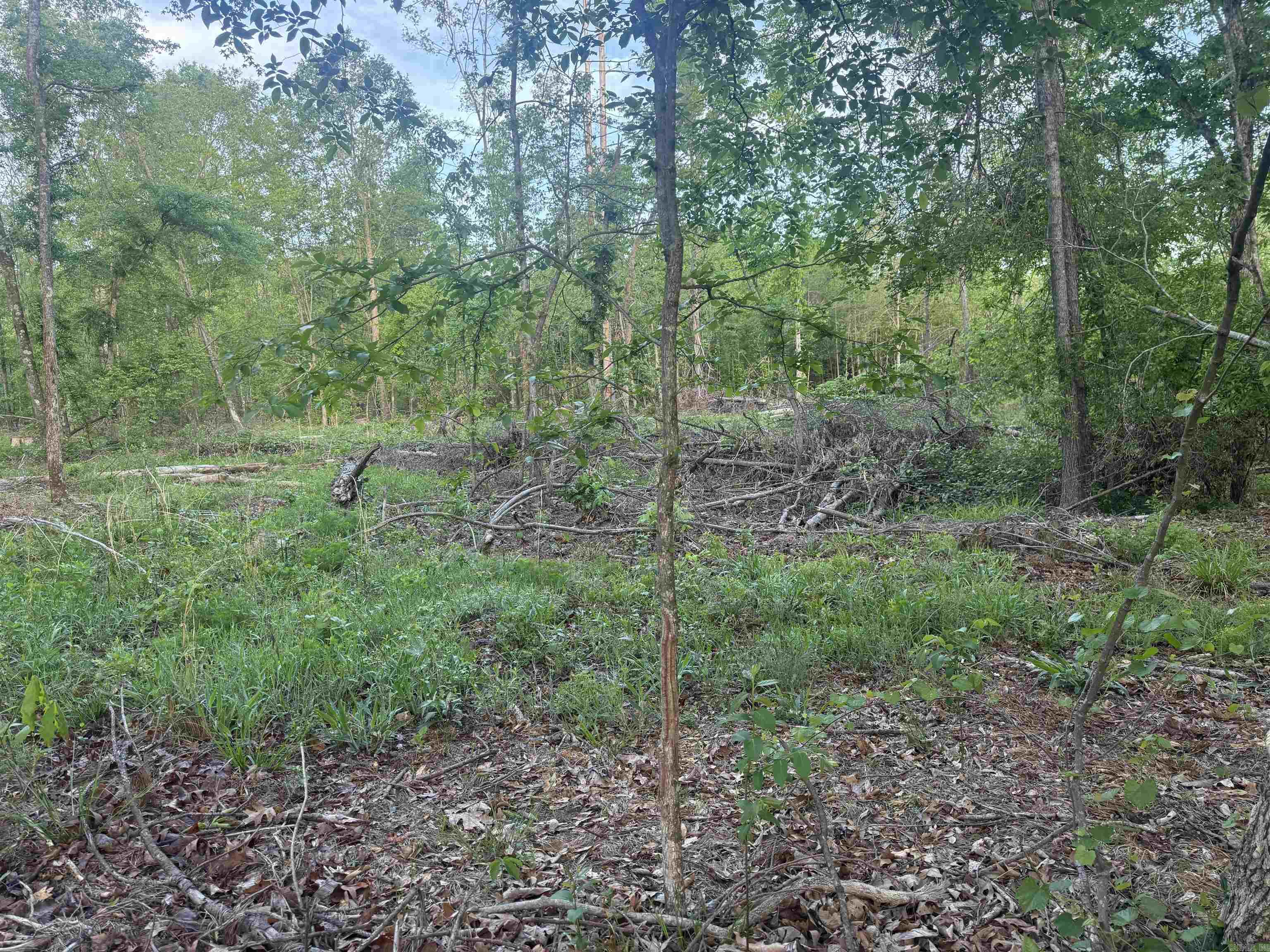 000 Pinebergen rd lot A  Pine Bluff, AR