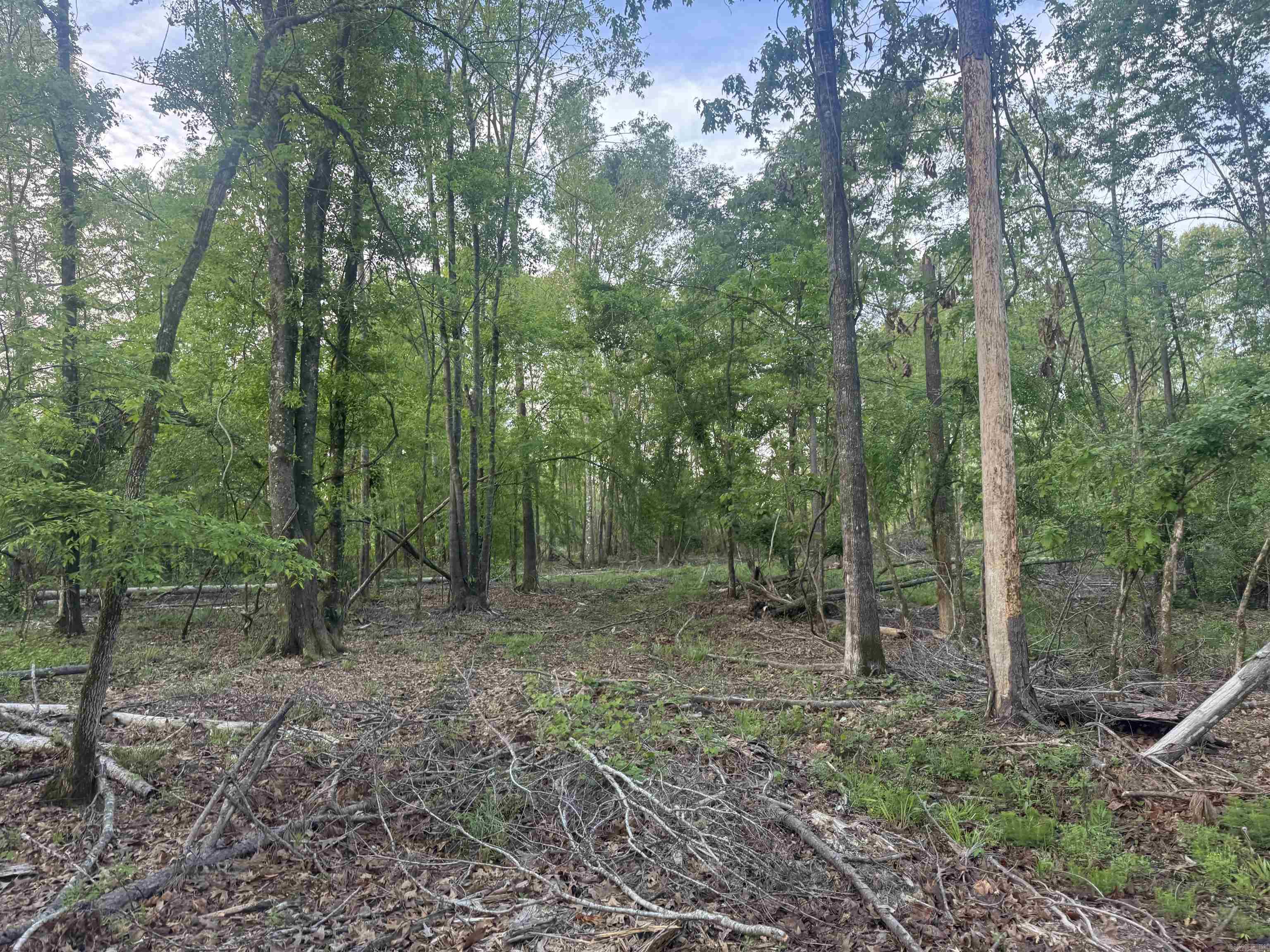 000 Pinebergen rd lot A  Pine Bluff, AR
