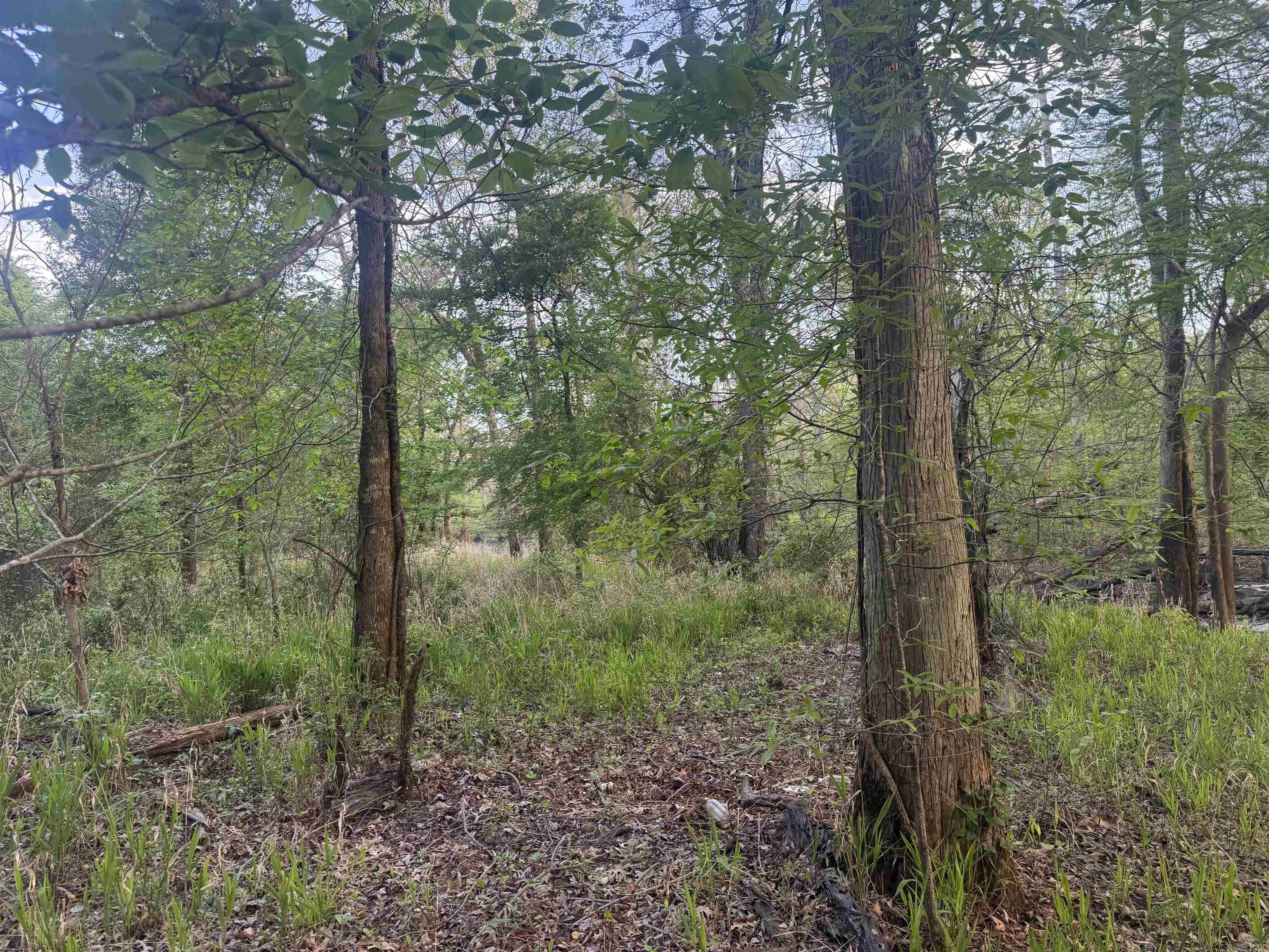 000 Pinebergen rd lot A  Pine Bluff, AR