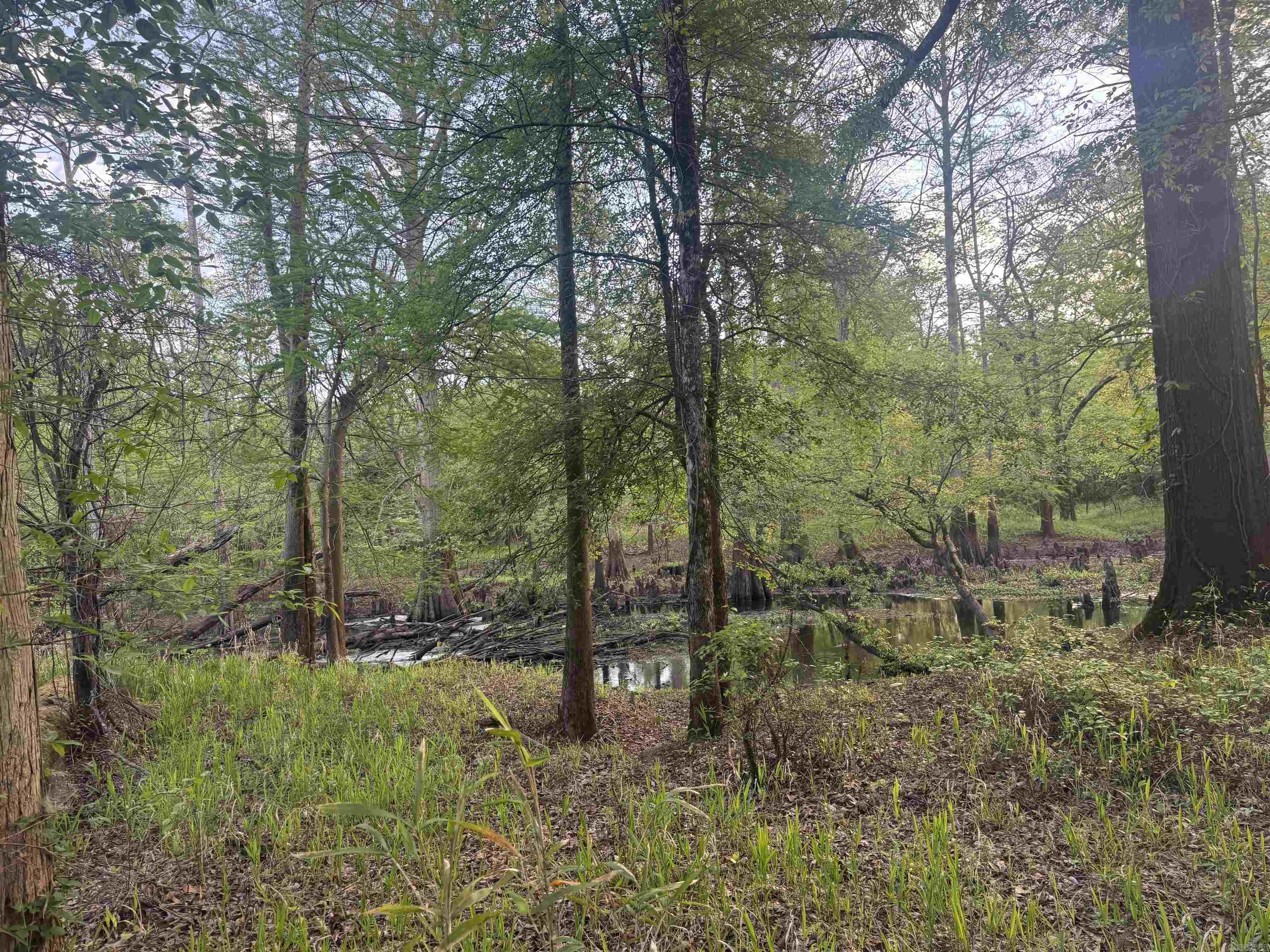 000 Pinebergen rd lot A  Pine Bluff, AR