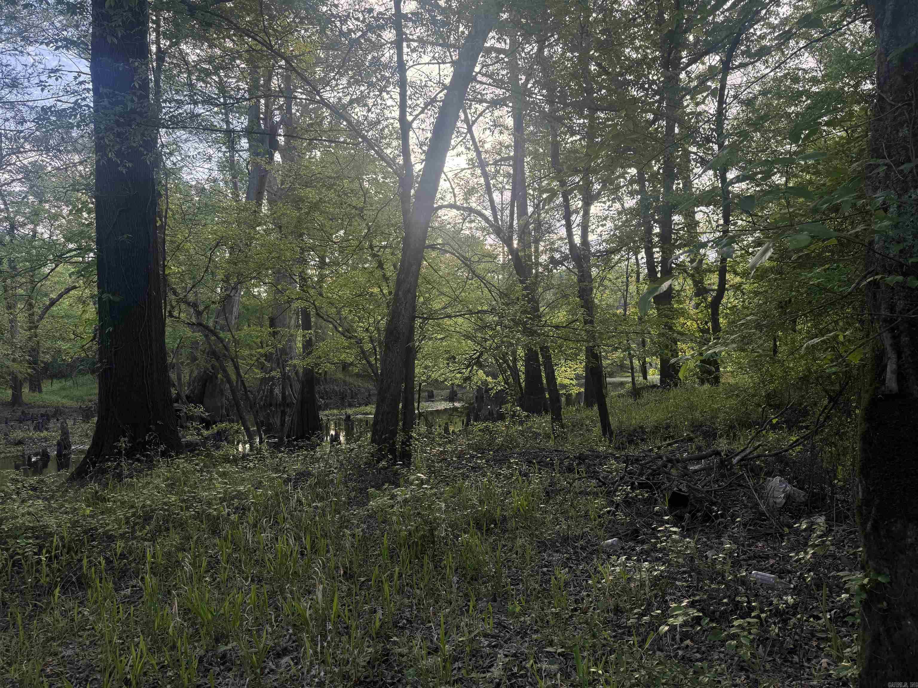 000 Pinebergen rd lot A  Pine Bluff, AR