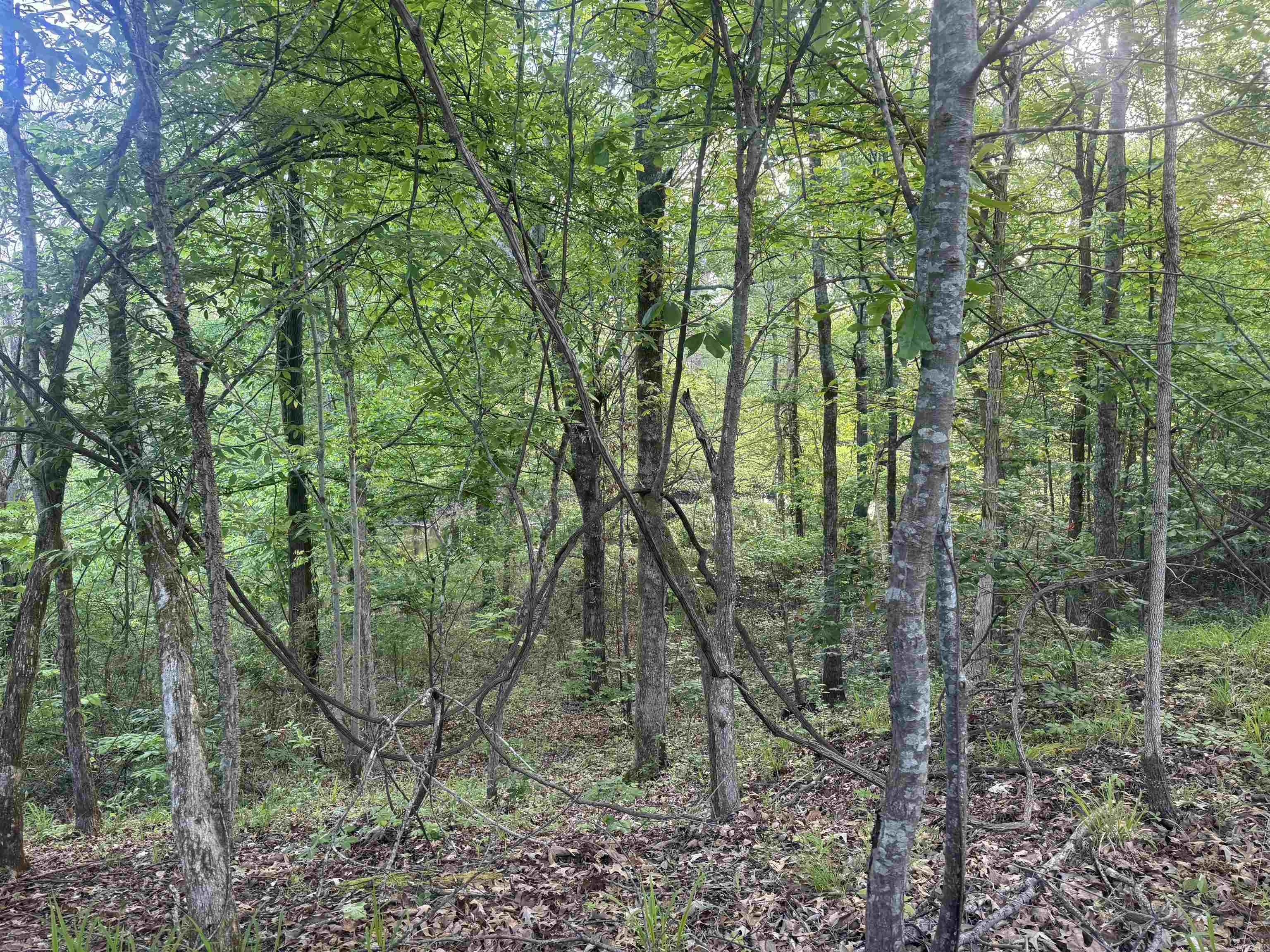 000 Pinebergen rd lot A  Pine Bluff, AR