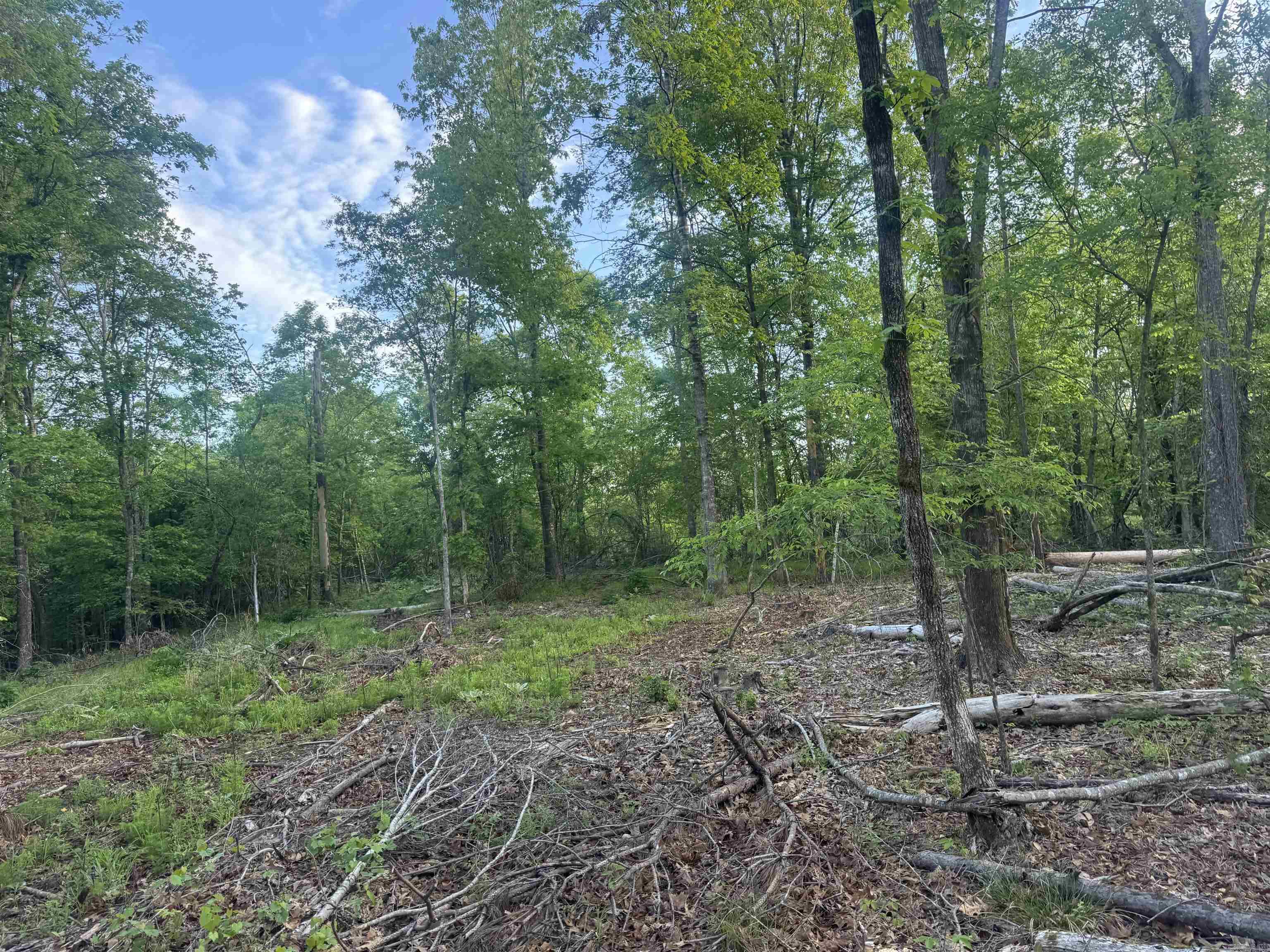 000 Pinebergen rd lot A  Pine Bluff, AR