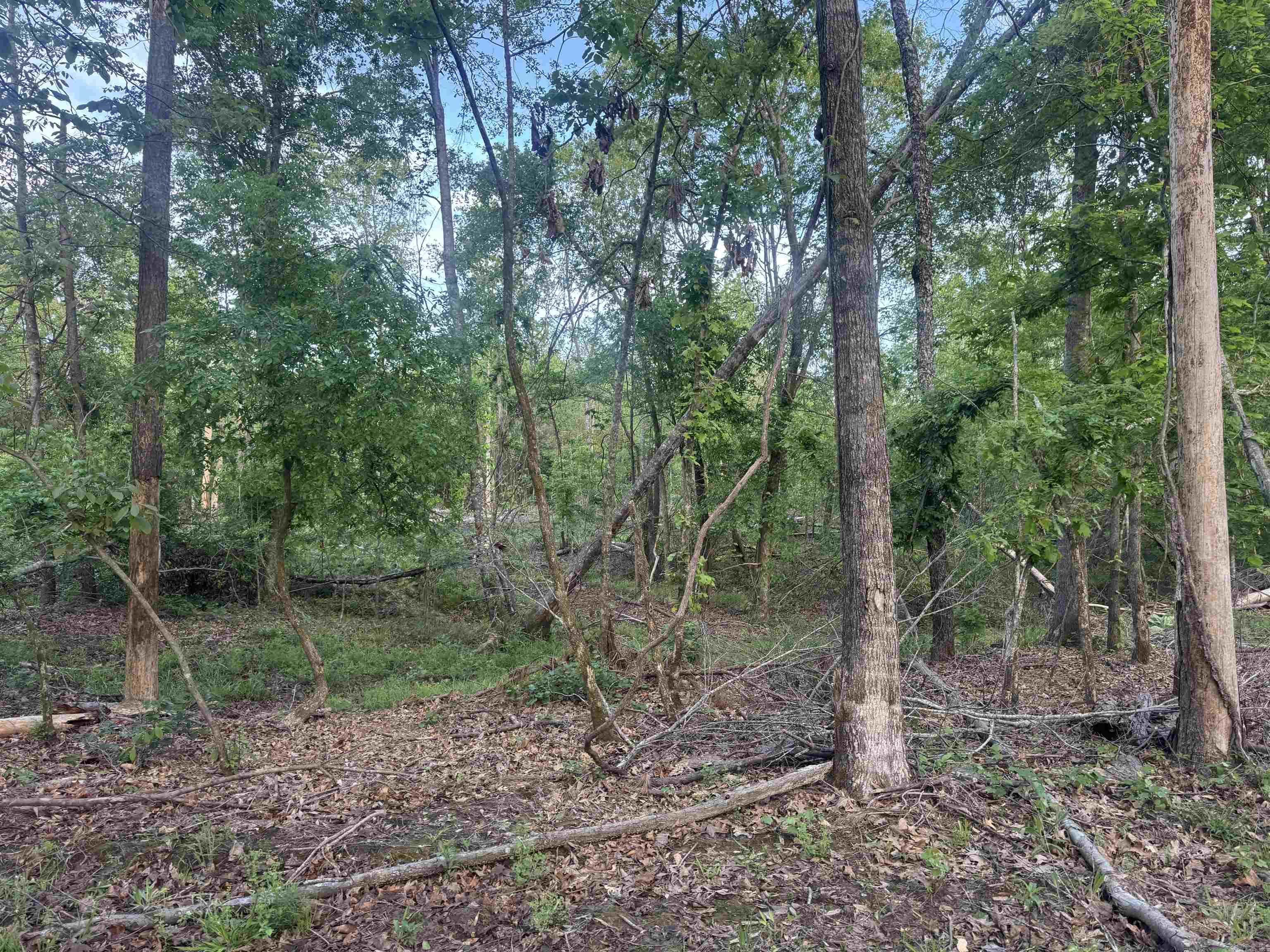 000 Pinebergen rd lot A  Pine Bluff, AR