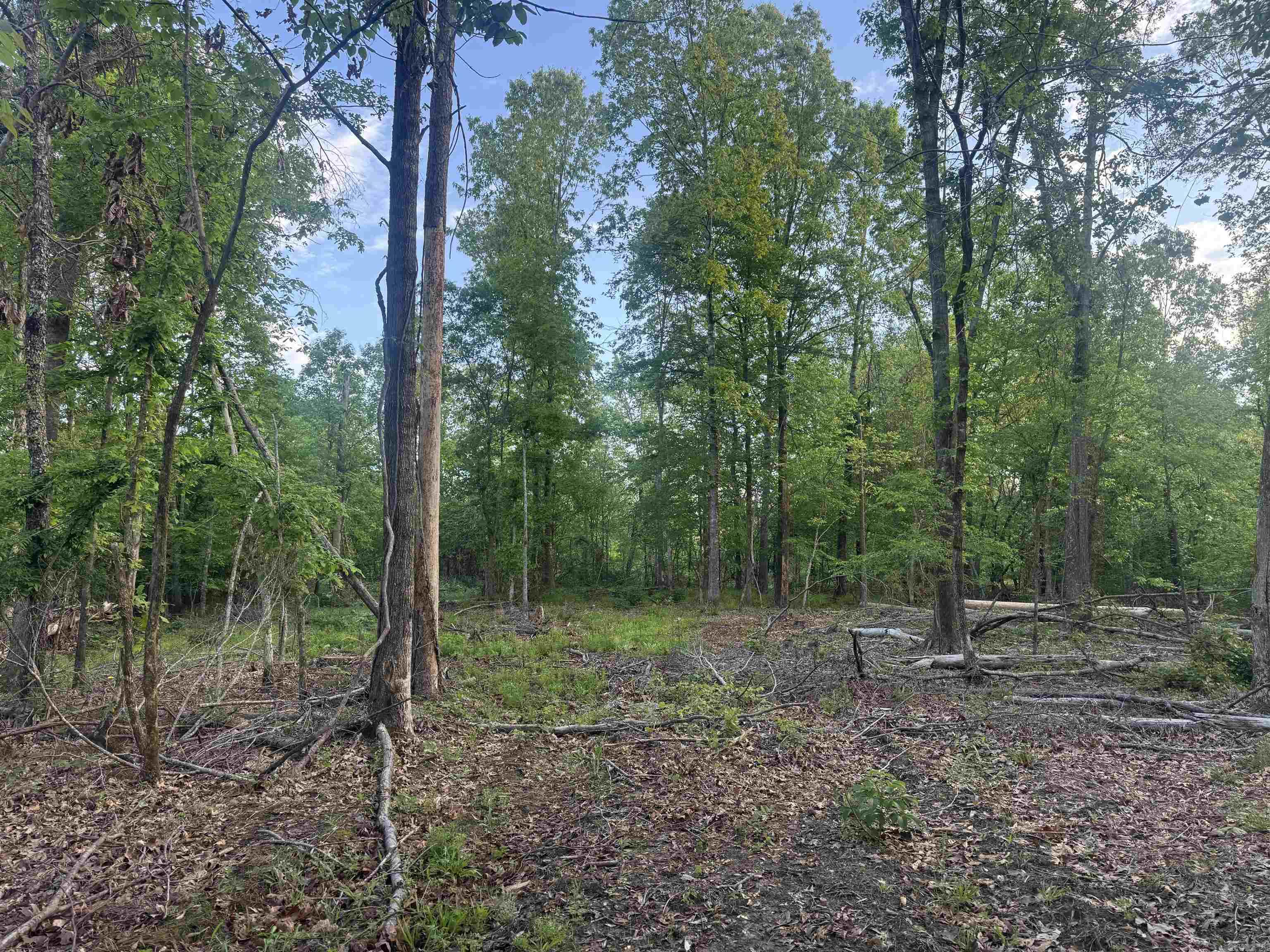 000 Pinebergen rd lot A  Pine Bluff, AR