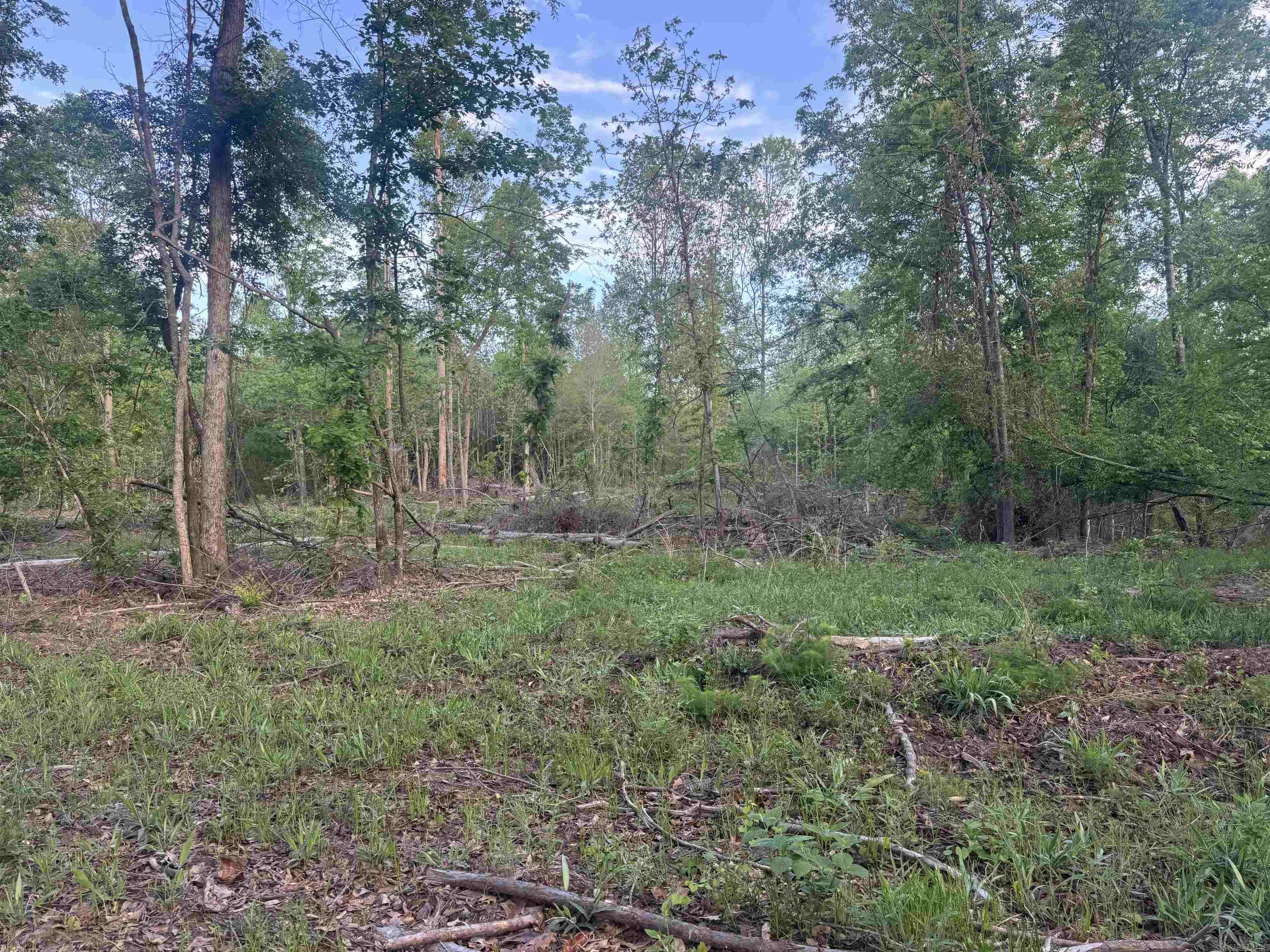 000 Pinebergen rd lot A  Pine Bluff, AR